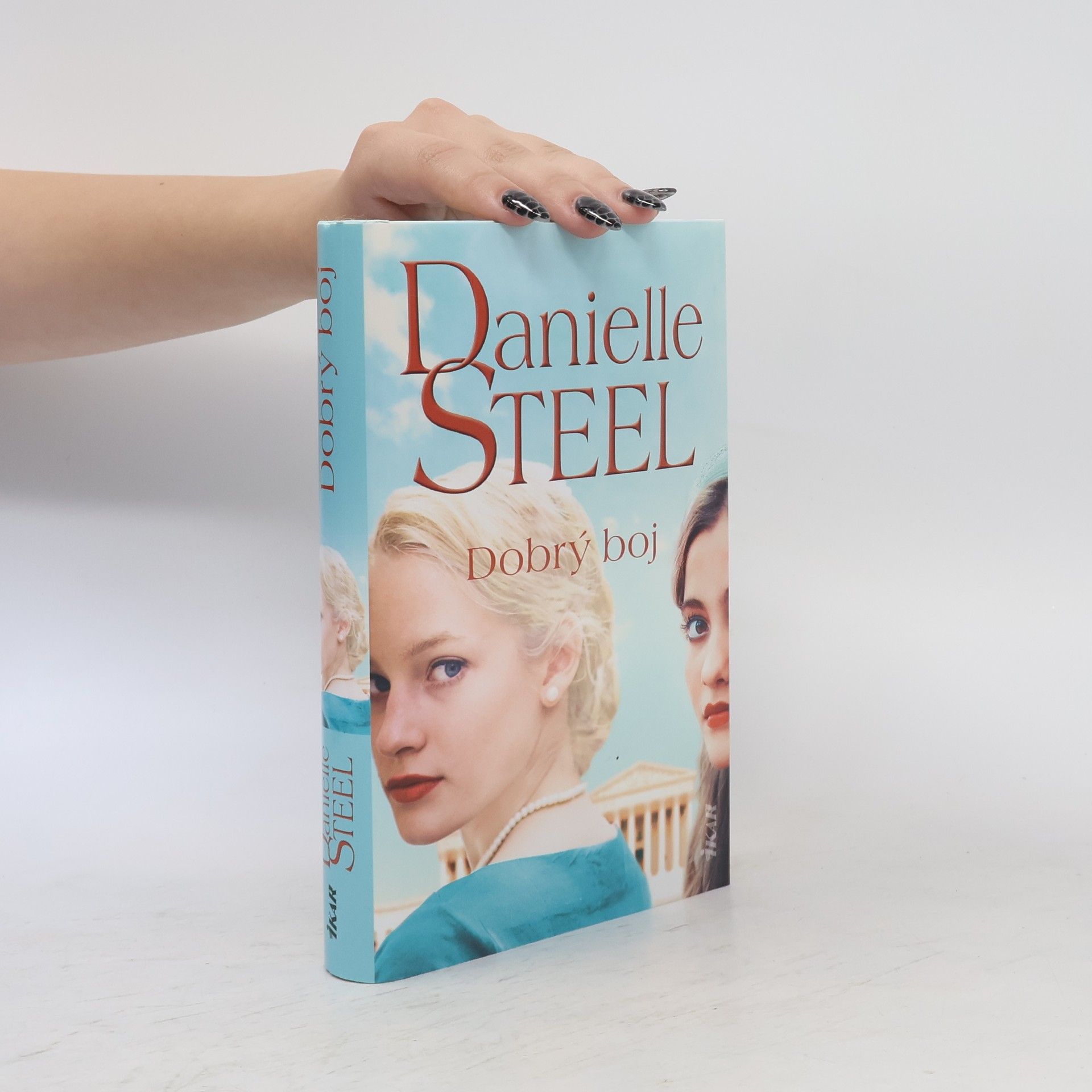 Danielle Steel Dobrý boj