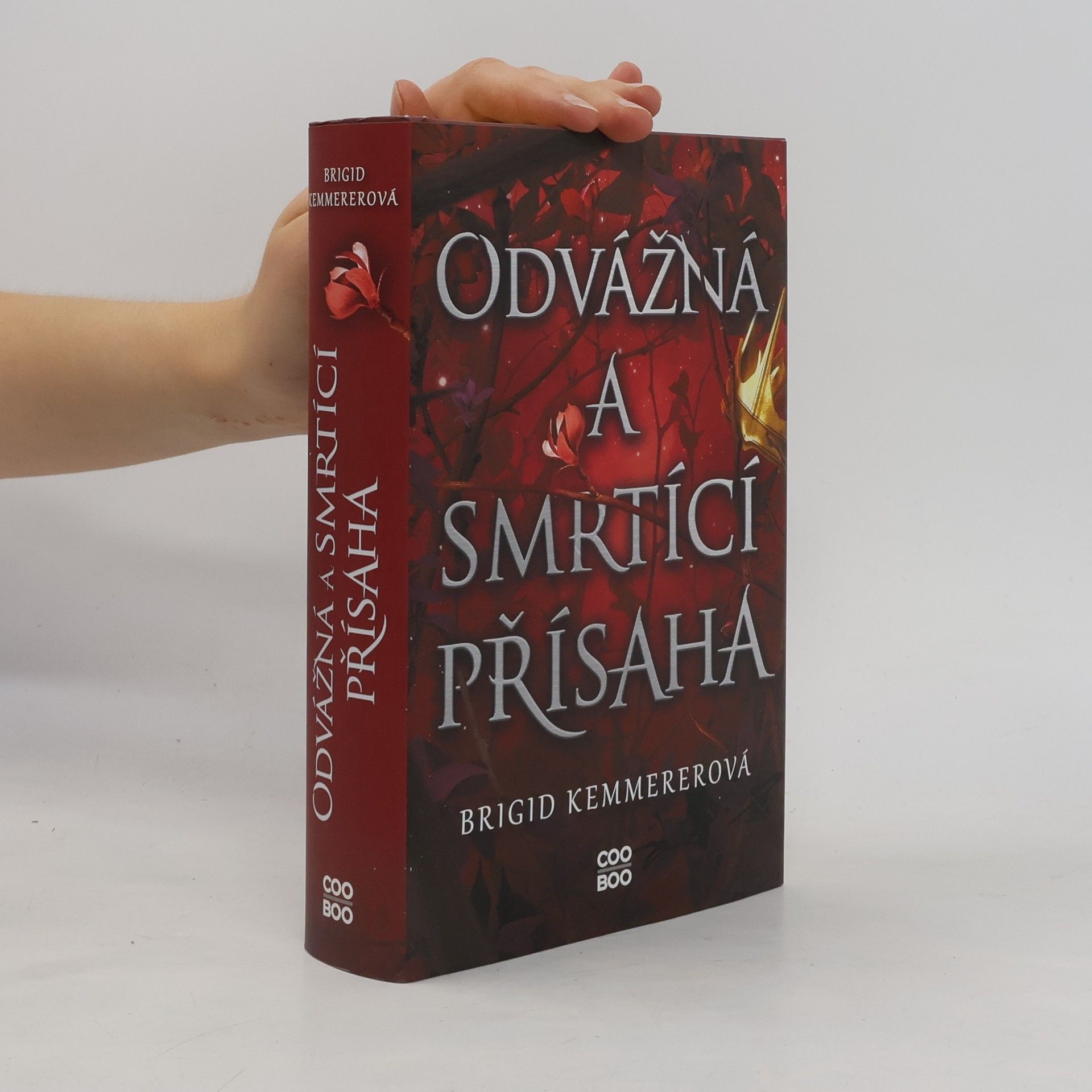 Brigid Kemmerer Odvážná a smrtící přísaha