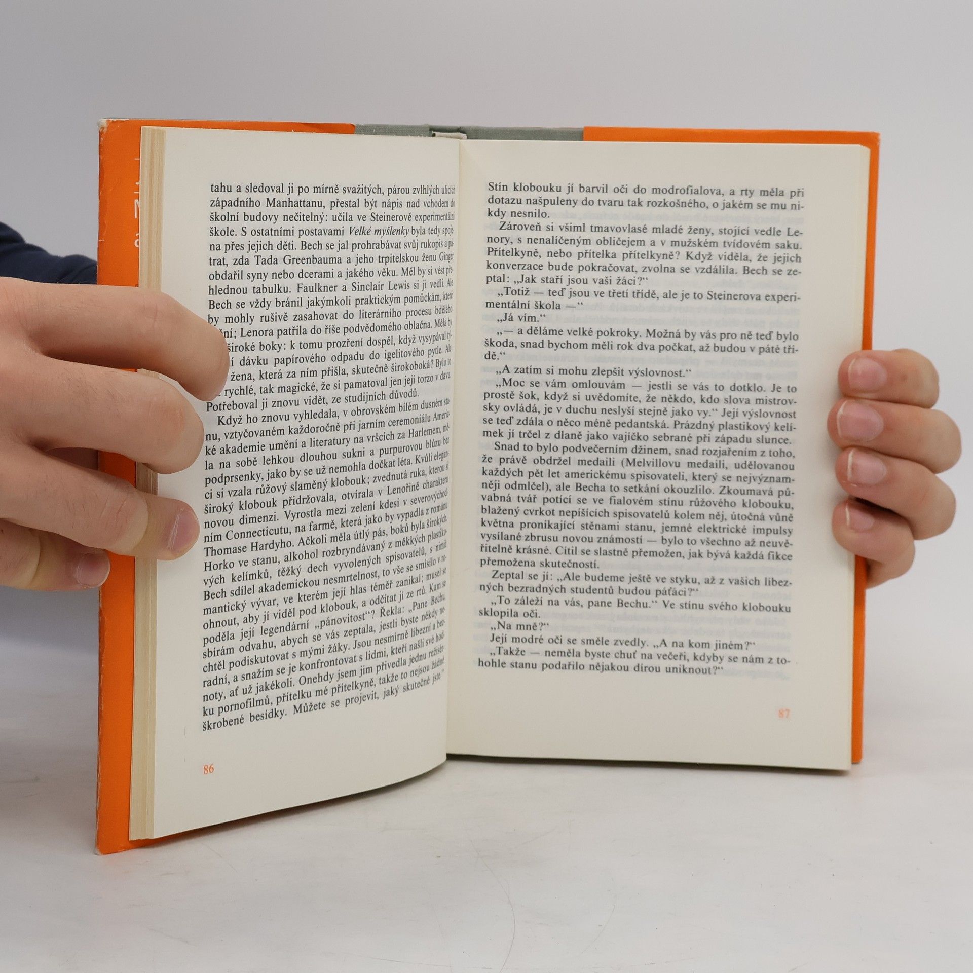 John Updike Milenci a manželé
