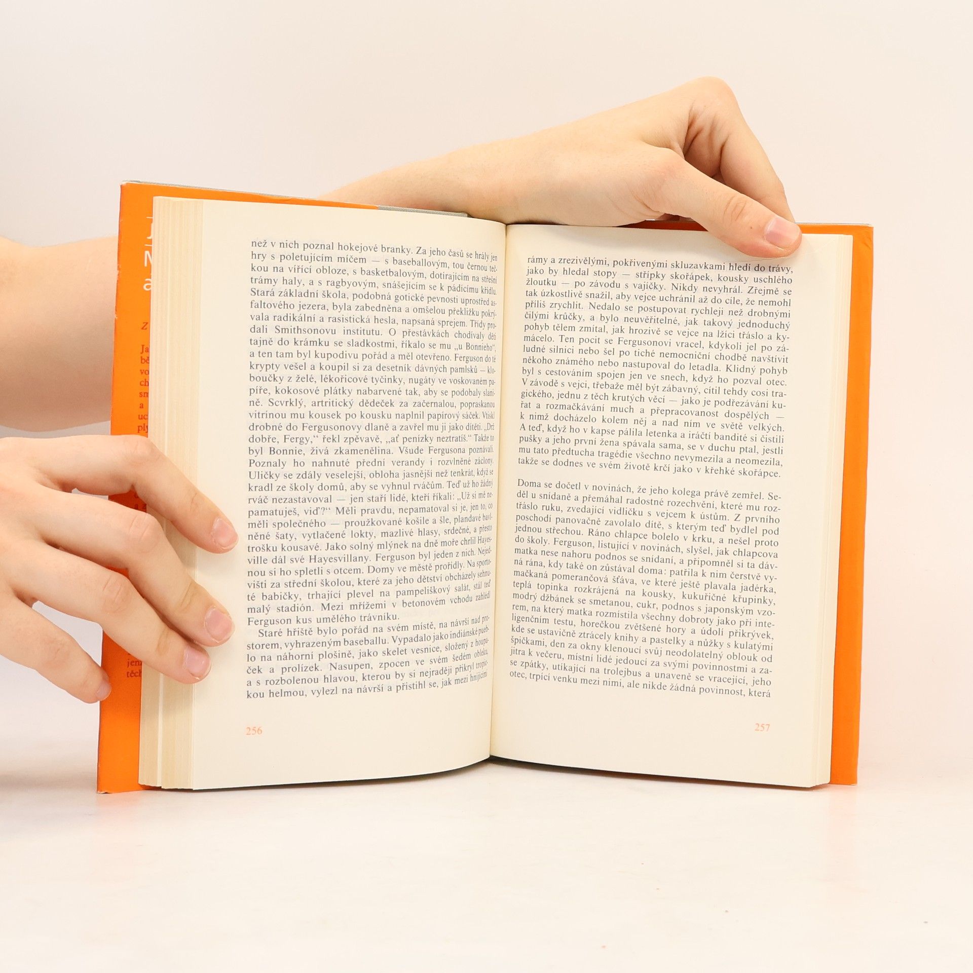 John Updike Milenci a manželé