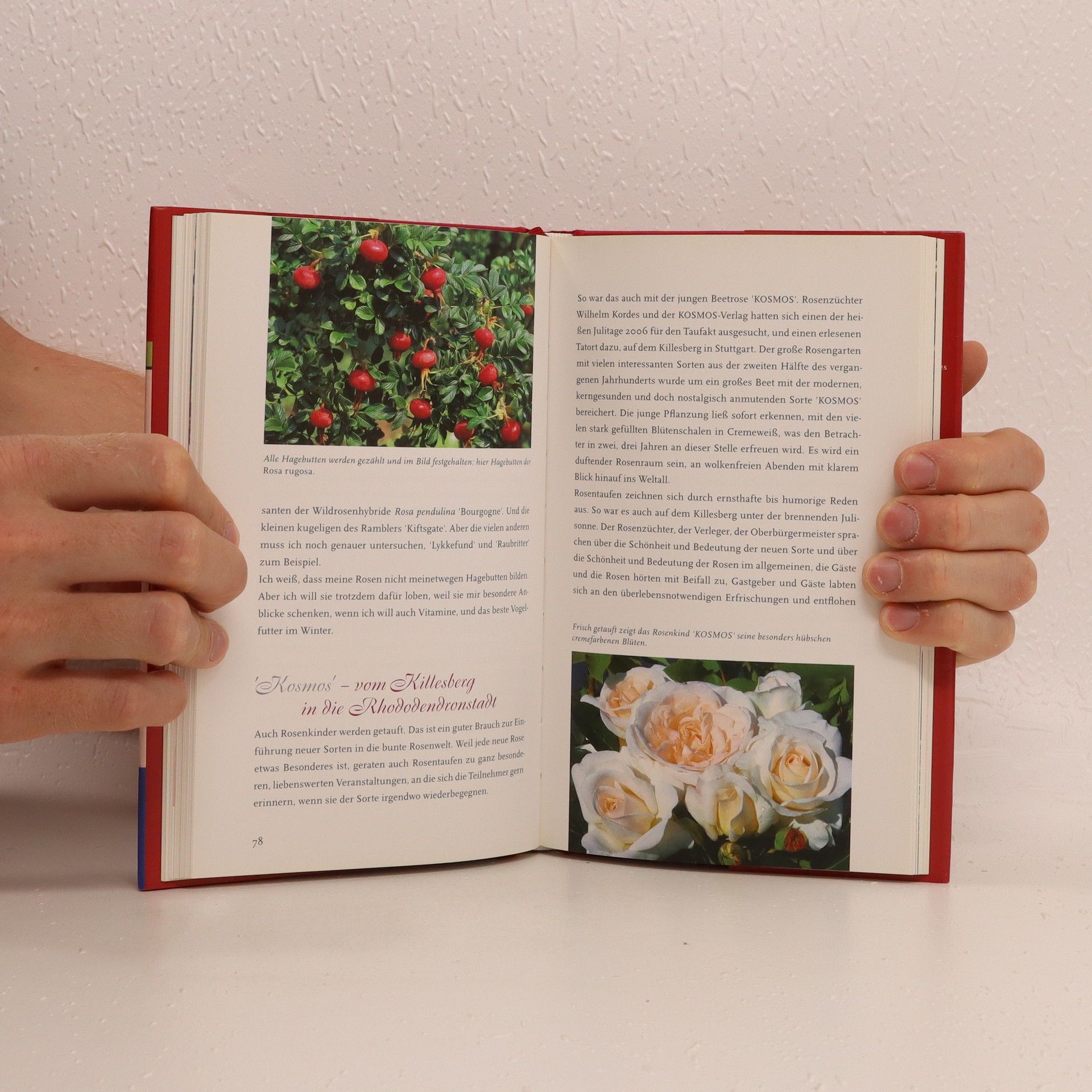 Hartmut Brinkmann Der mit den Rosen spricht