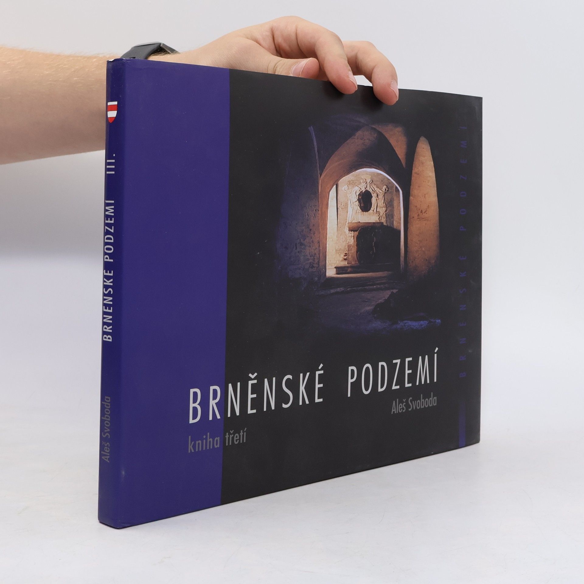 Aleš Svoboda Brněnské podzemí - Kniha třetí