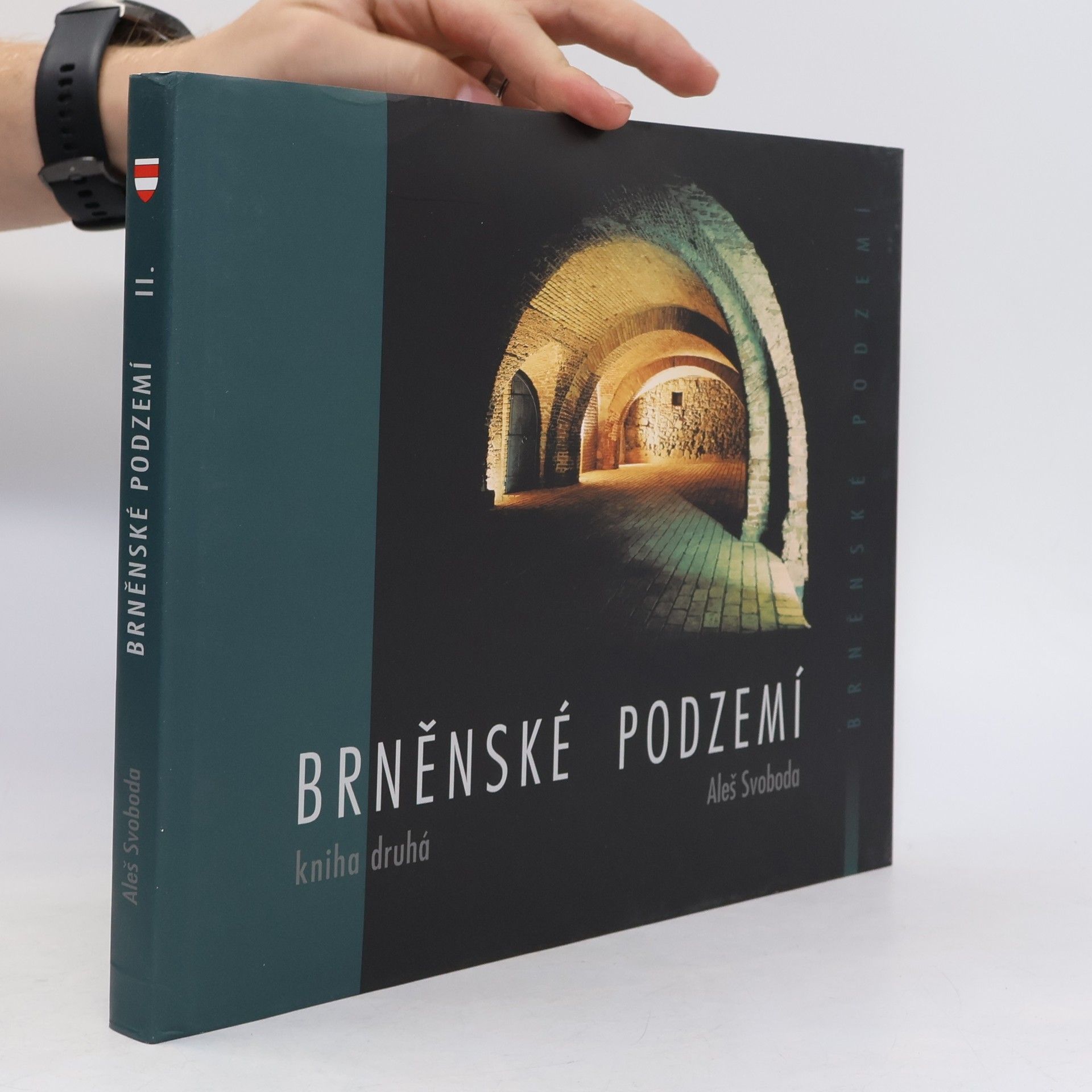 Aleš Svoboda Brněnské podzemí. Kniha druhá