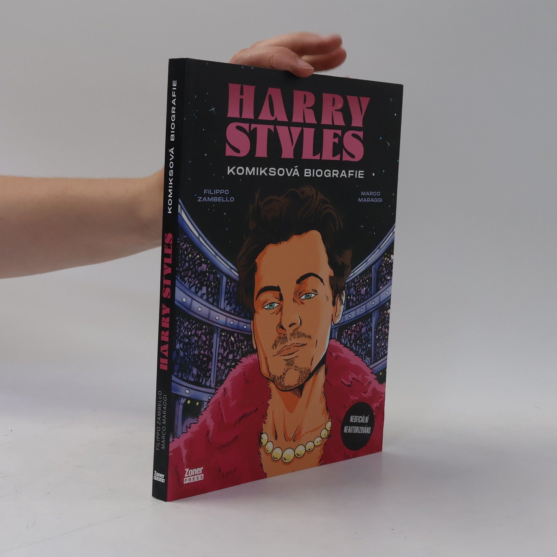 Filippo Zambello Harry Styles: Komiksová biografie