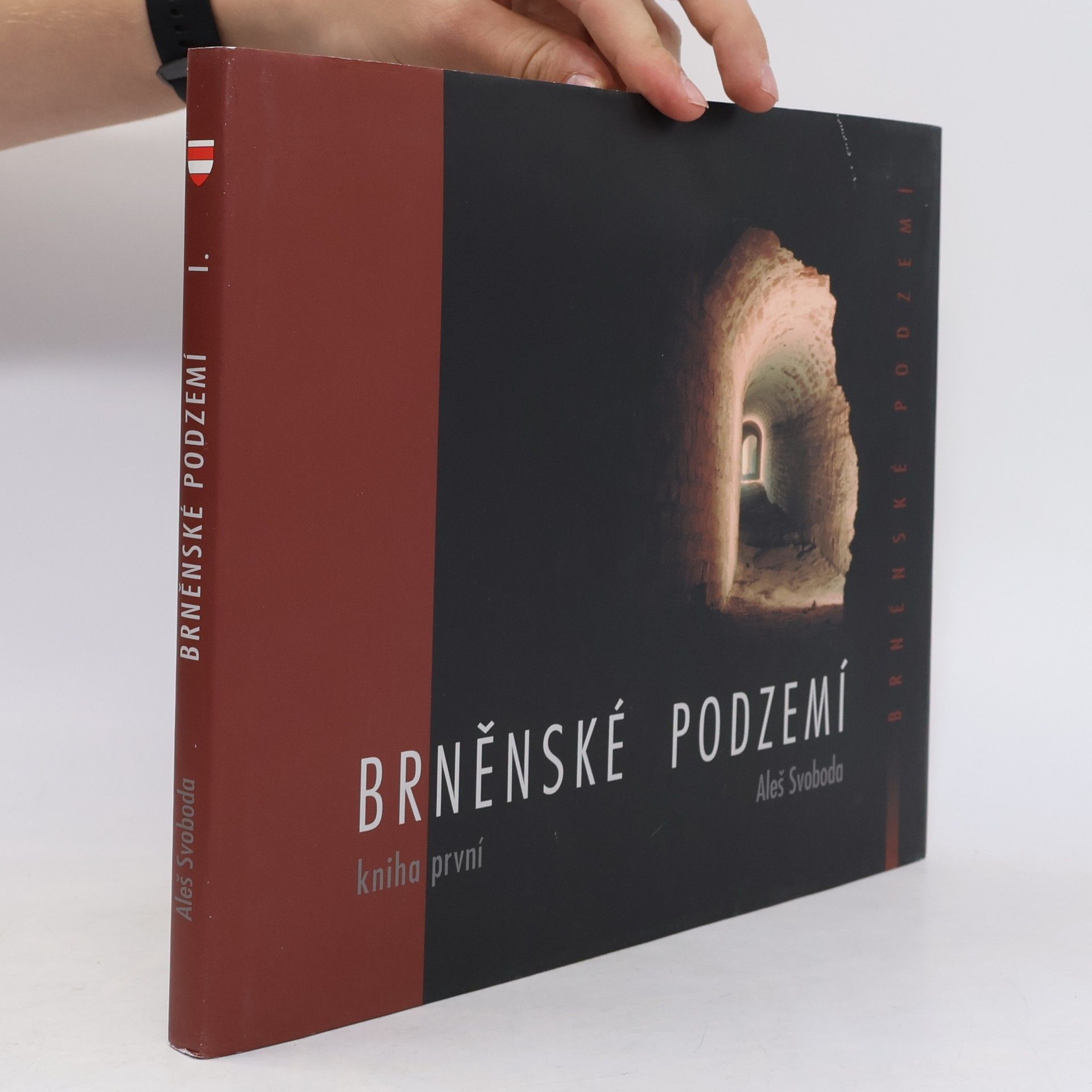 Aleš Svoboda Brněnské podzemí - Kniha první