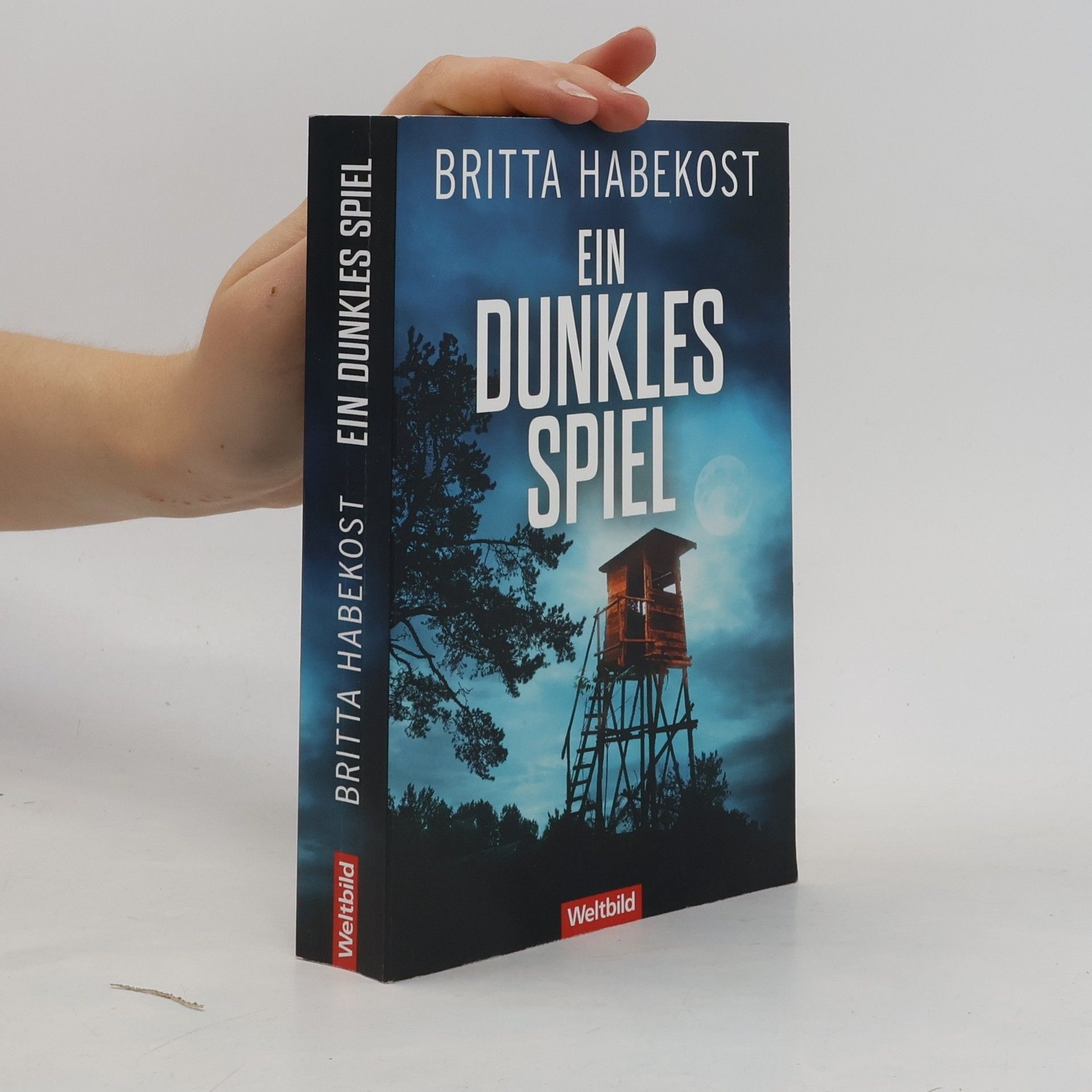 Britta Habekost Ein dunkles Spiel