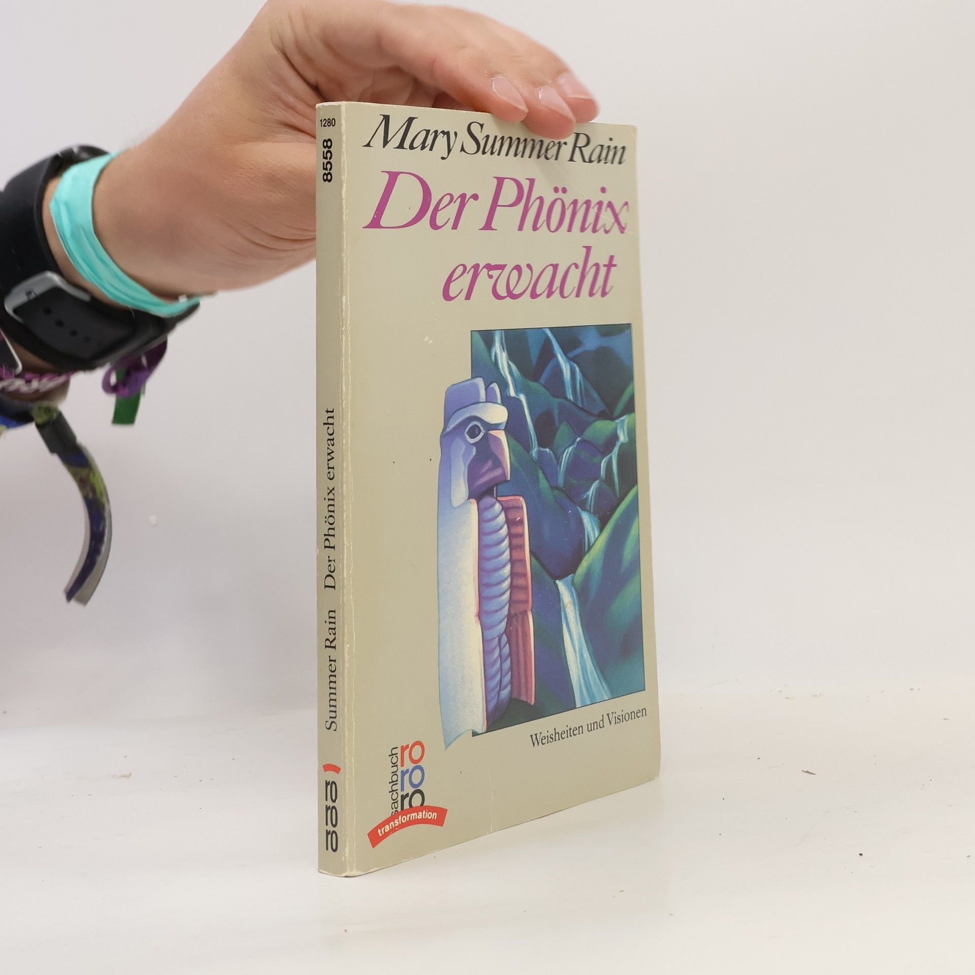 Mary Summer Rain Der Phönix erwacht