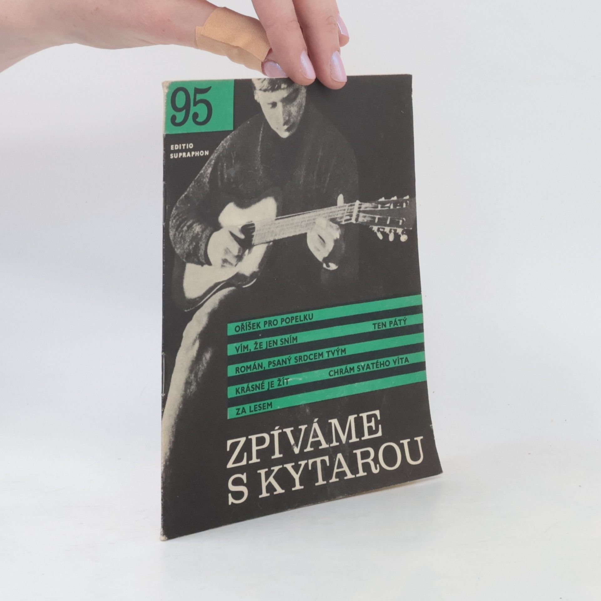 Kolektiv autorů Zpíváme s kytarou 95