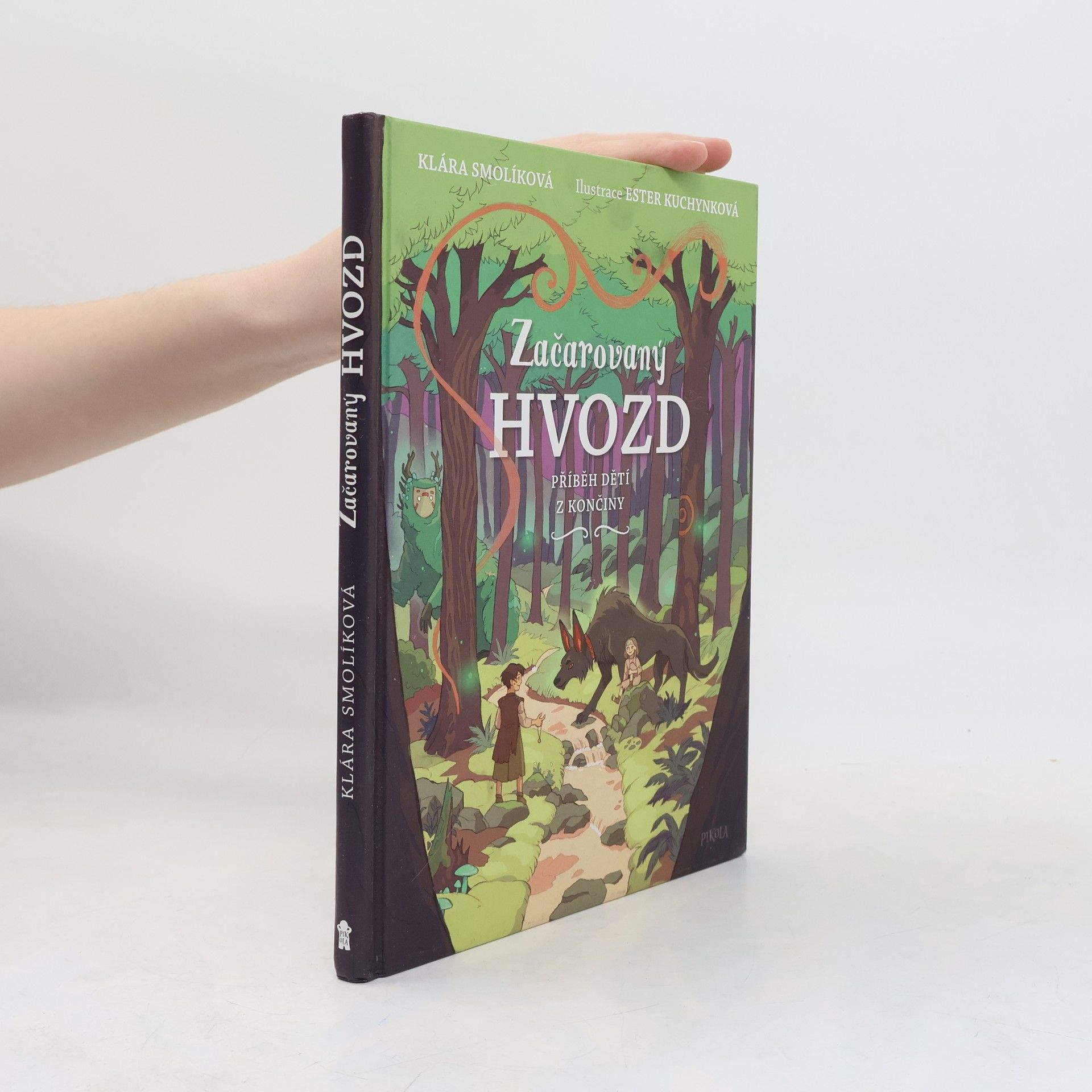 Začarovaný Hvozd - Příběh dětí z Končiny