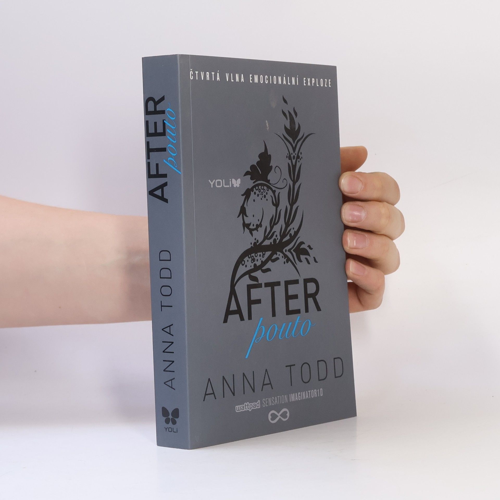 Anna Todd After. Pouto