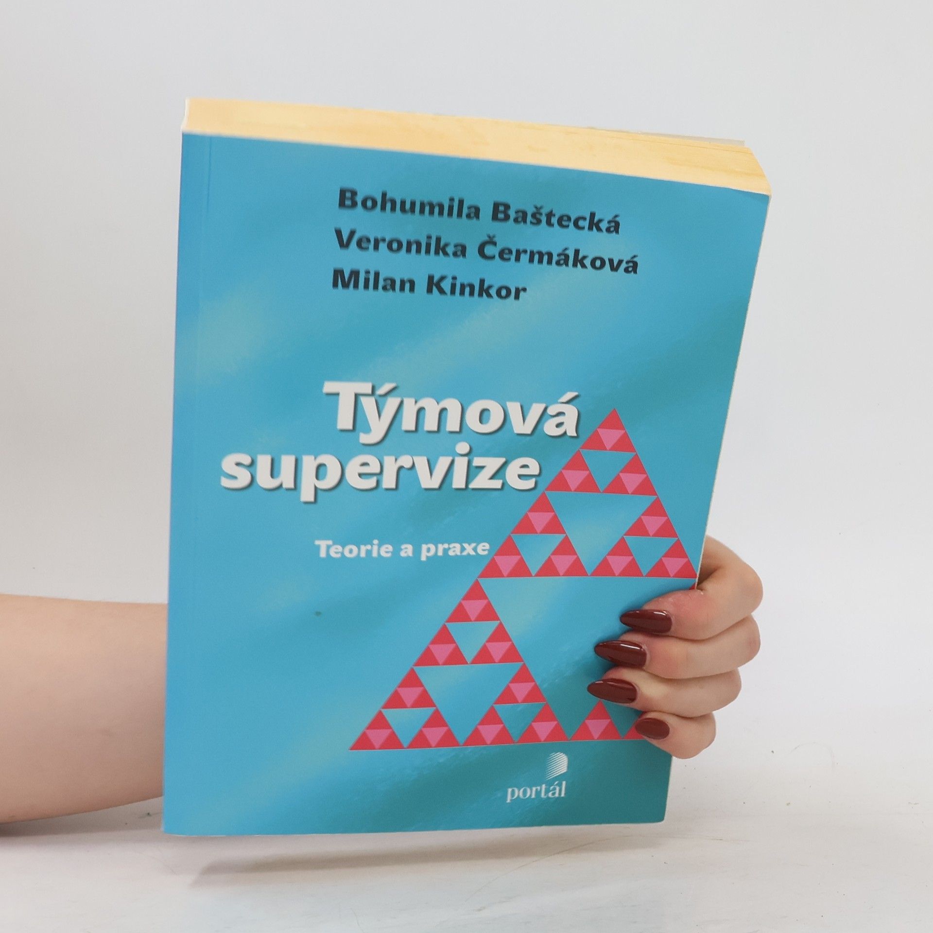 Milan Kinkor Týmová supervize