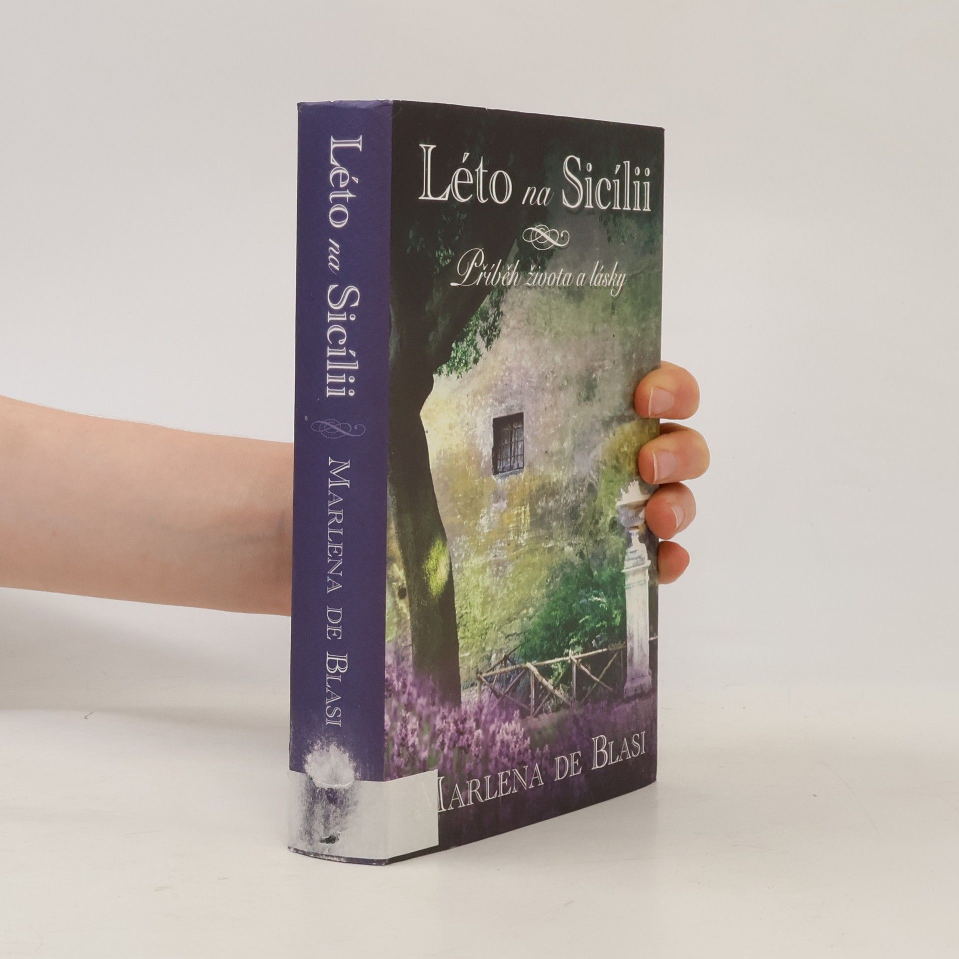 Léto na Sicílii. Příběh života a lásky