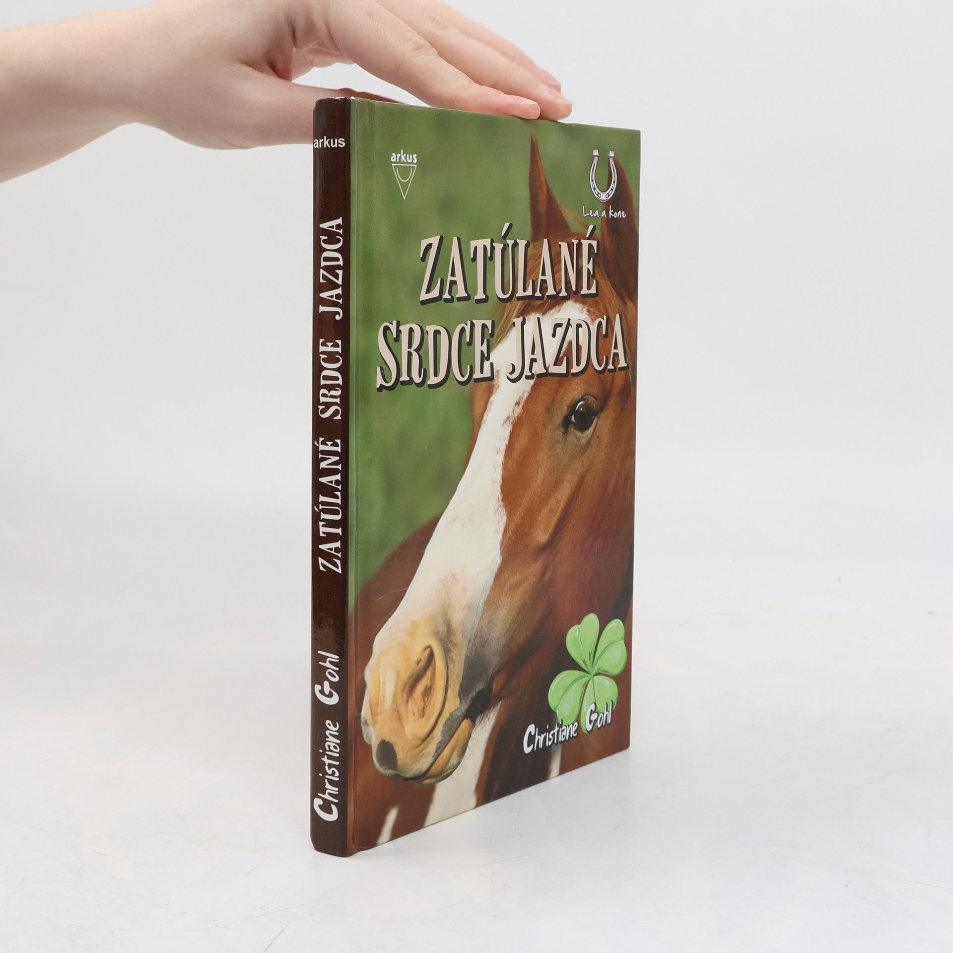 Christiane Gohl Zatúlané srdce jazdca