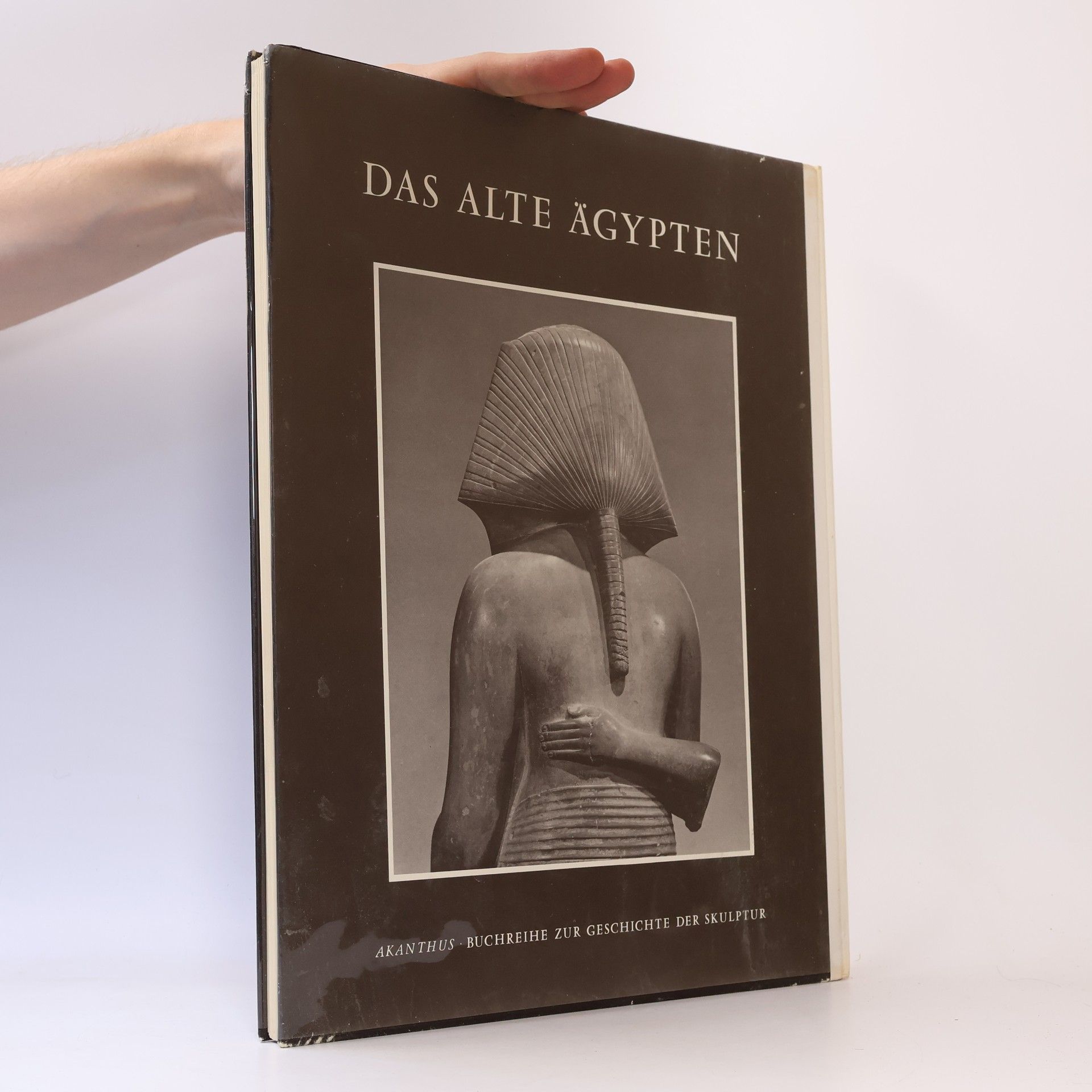 Christiane Desroches Noblecourt Das Alte Ägypten: Neues Reich und Amarnazeit.