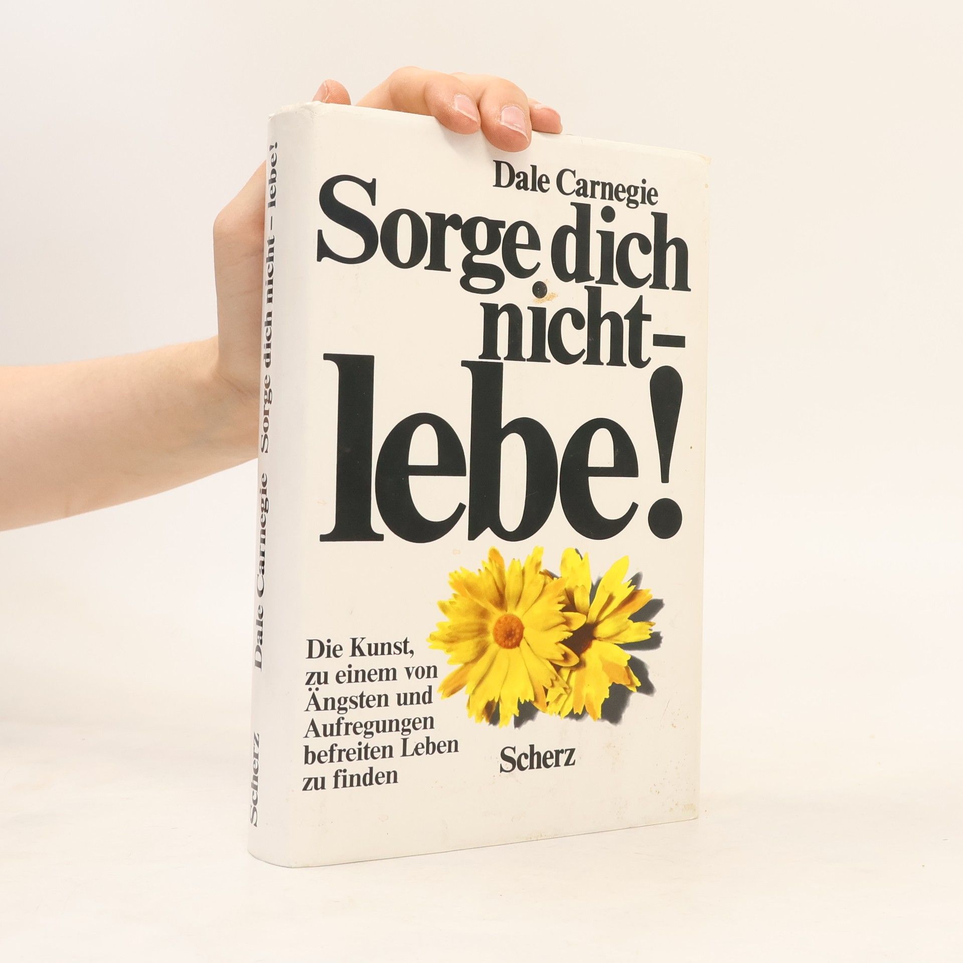Dale Carnegie Sorge dich nicht - lebe!