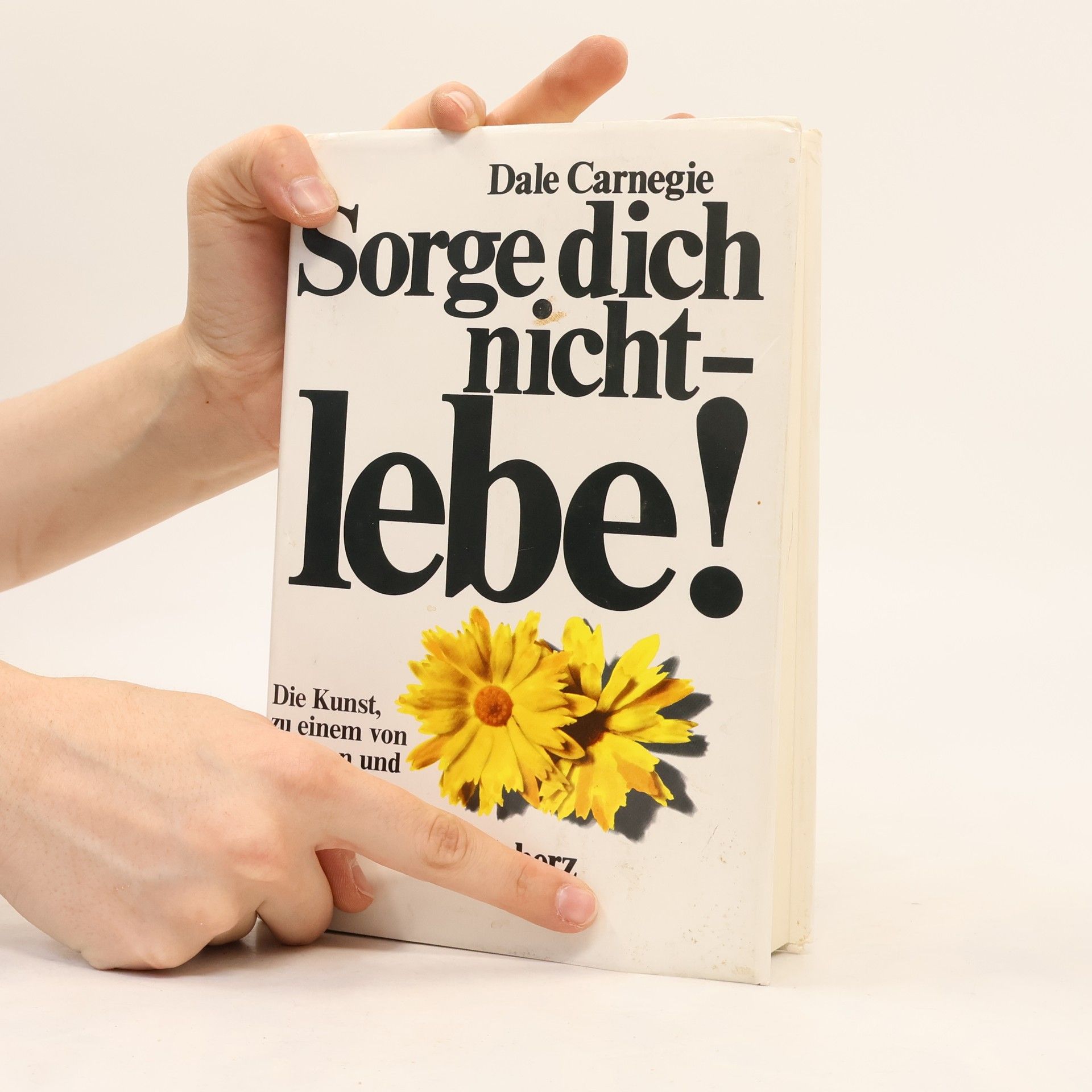 Dale Carnegie Sorge dich nicht - lebe!