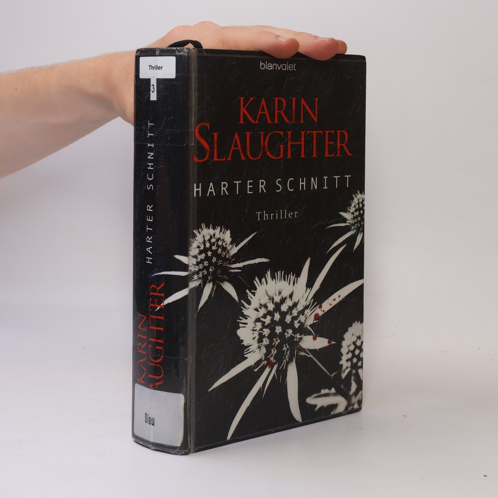 Karin Slaughter Harter Schnitt