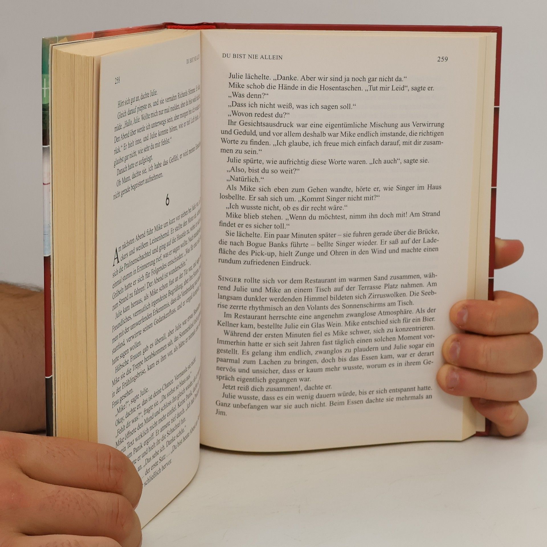 Joseph Finder Reader's Digest Auswahlbücher. Niemand wird entrinnen. Du bist nie allein. Das Gemälde