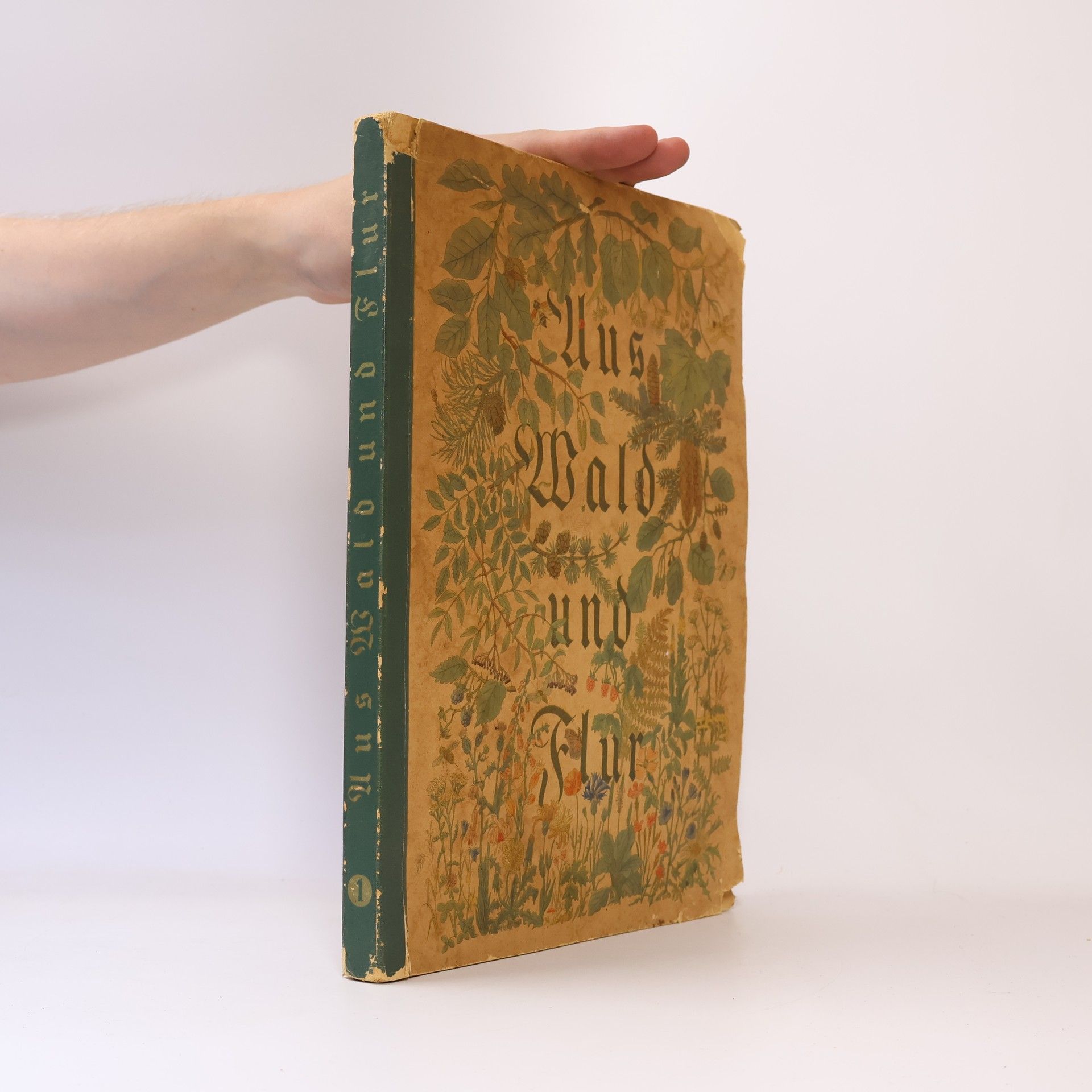 Autorenkollektiv Aus Wald und Flur 1