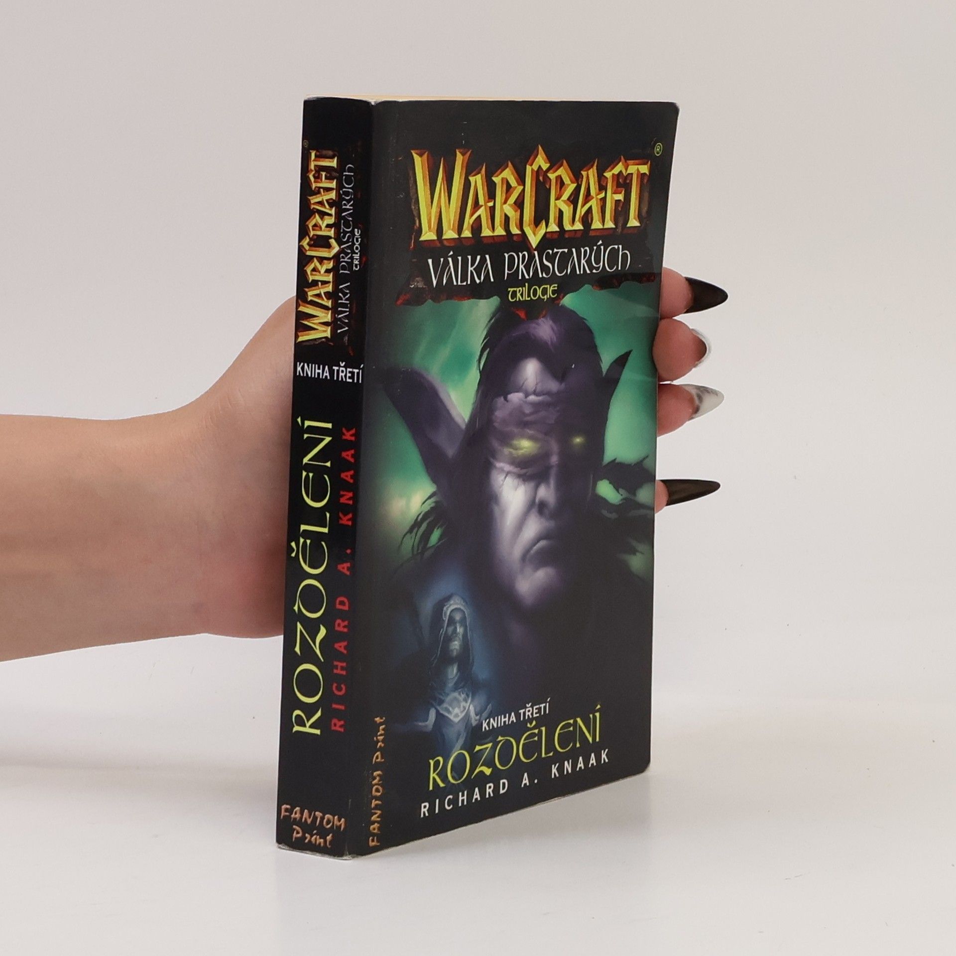 Richard A. Knaak WarCraft. Válka Prastarých 3. Rozdělení
