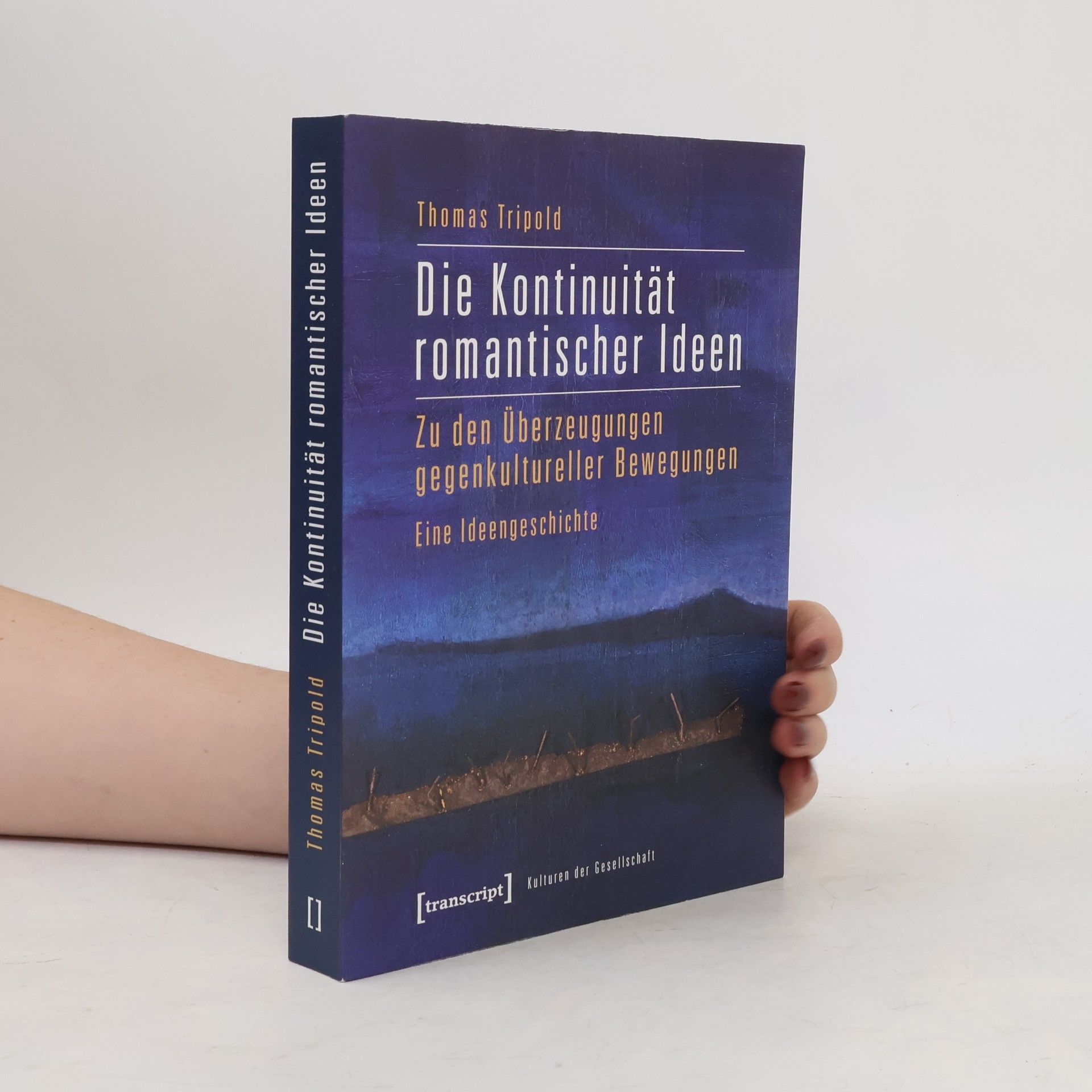 Thomas Tripold Kulturen der Gesellschaft: Die Kontinuität romantischer Ideen