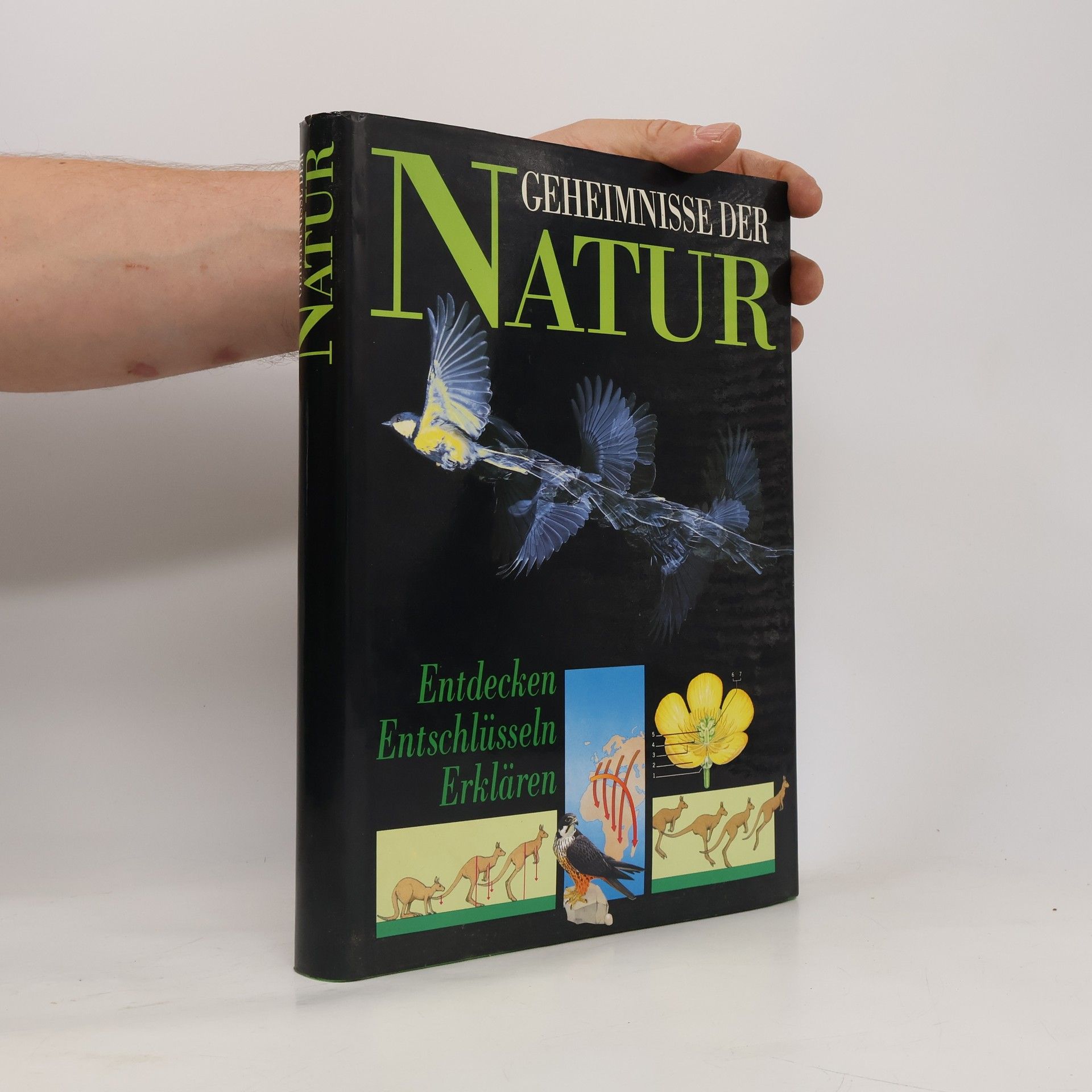 Autorenkollektiv Geheimnisse der Natur