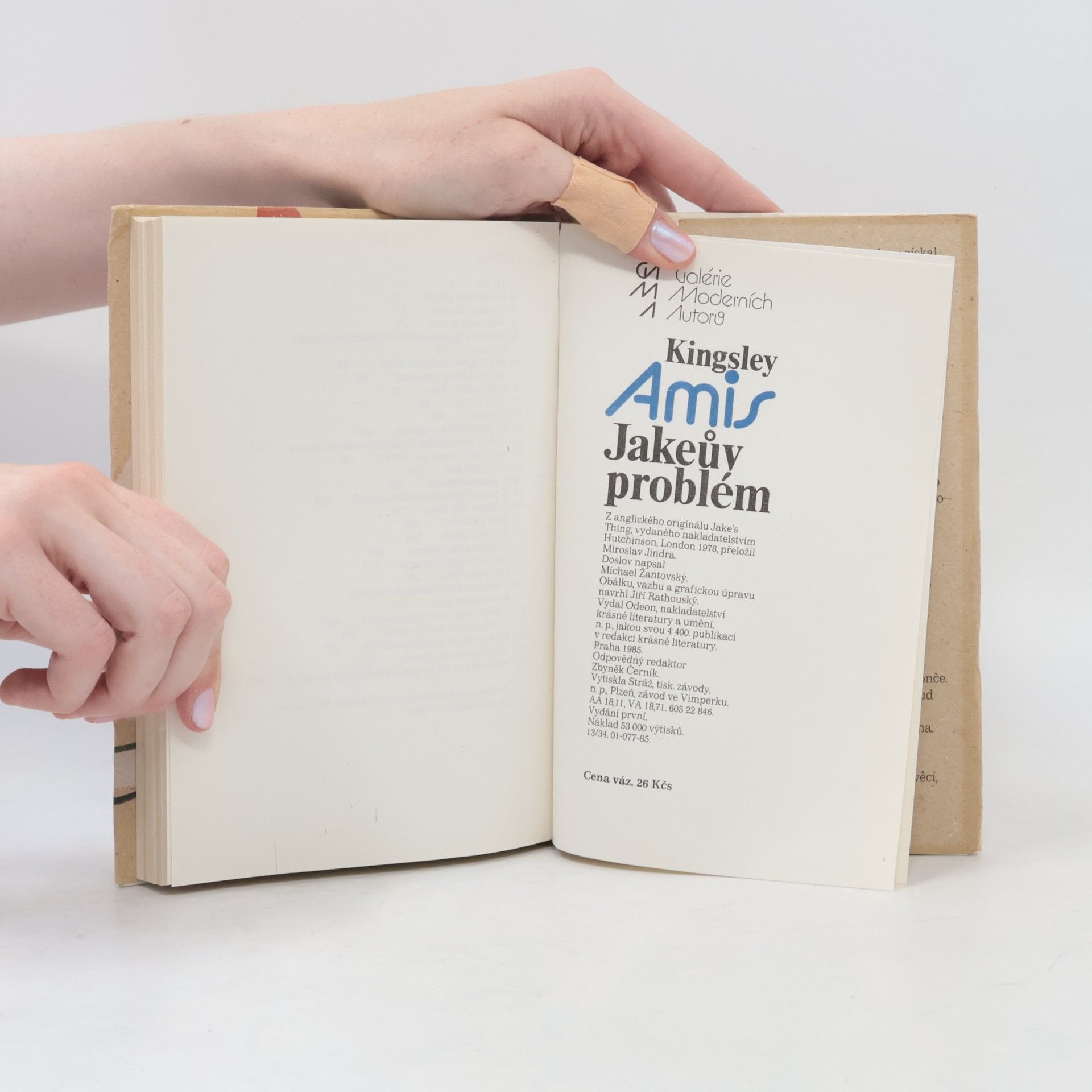 Kingsley Amis Jakeův problém