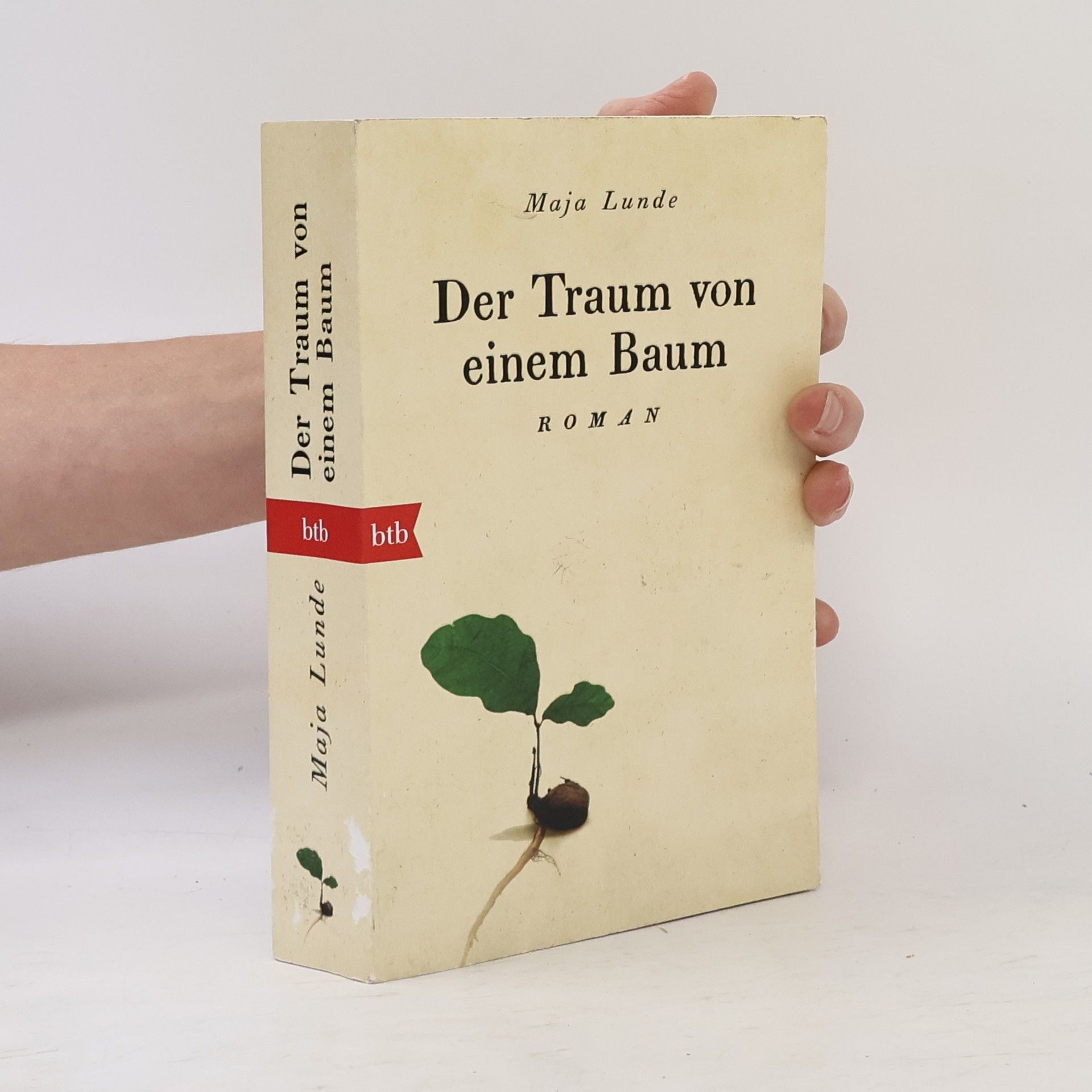 Maja Lunde Der Traum von einem Baum