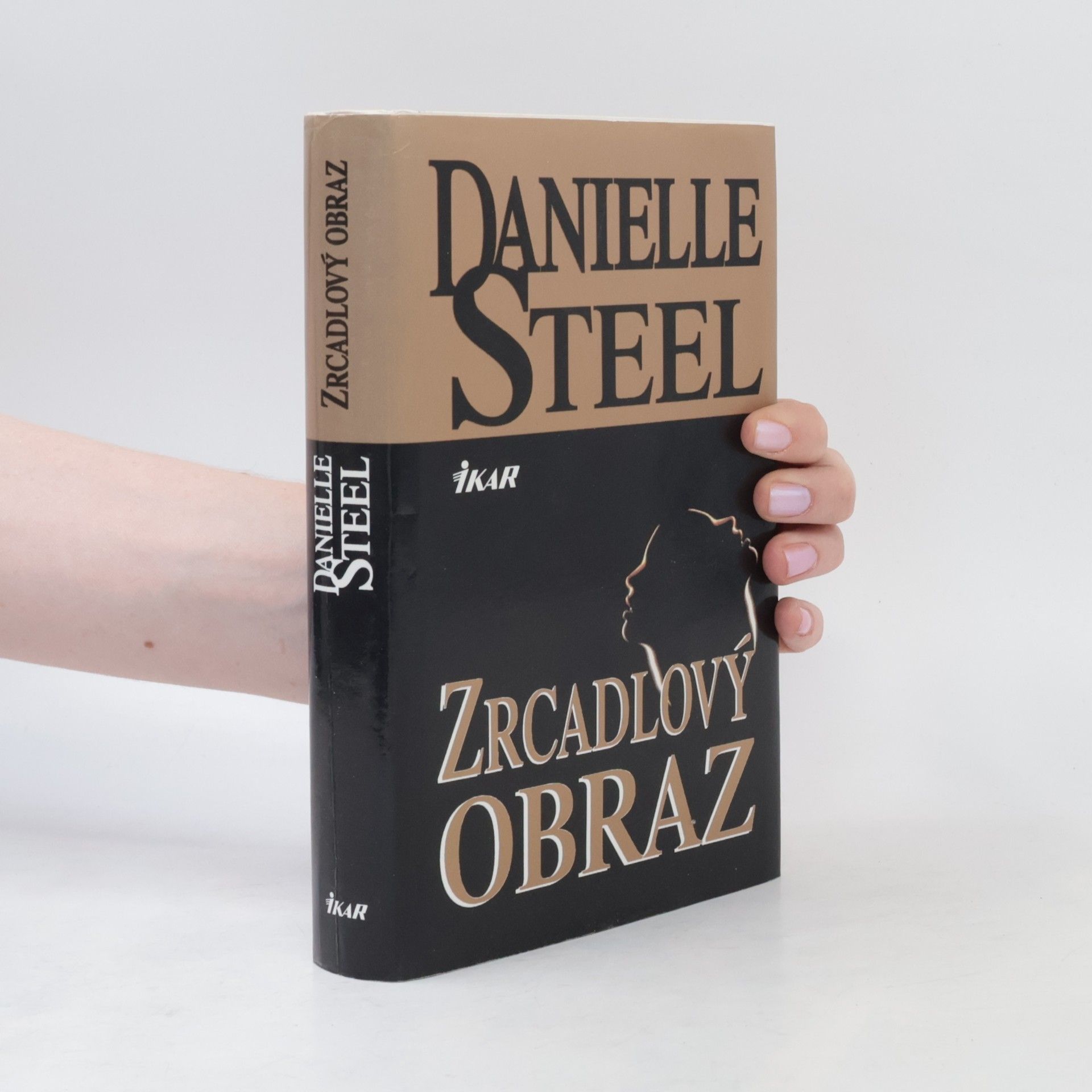 Danielle Steel Zrcadlový obraz