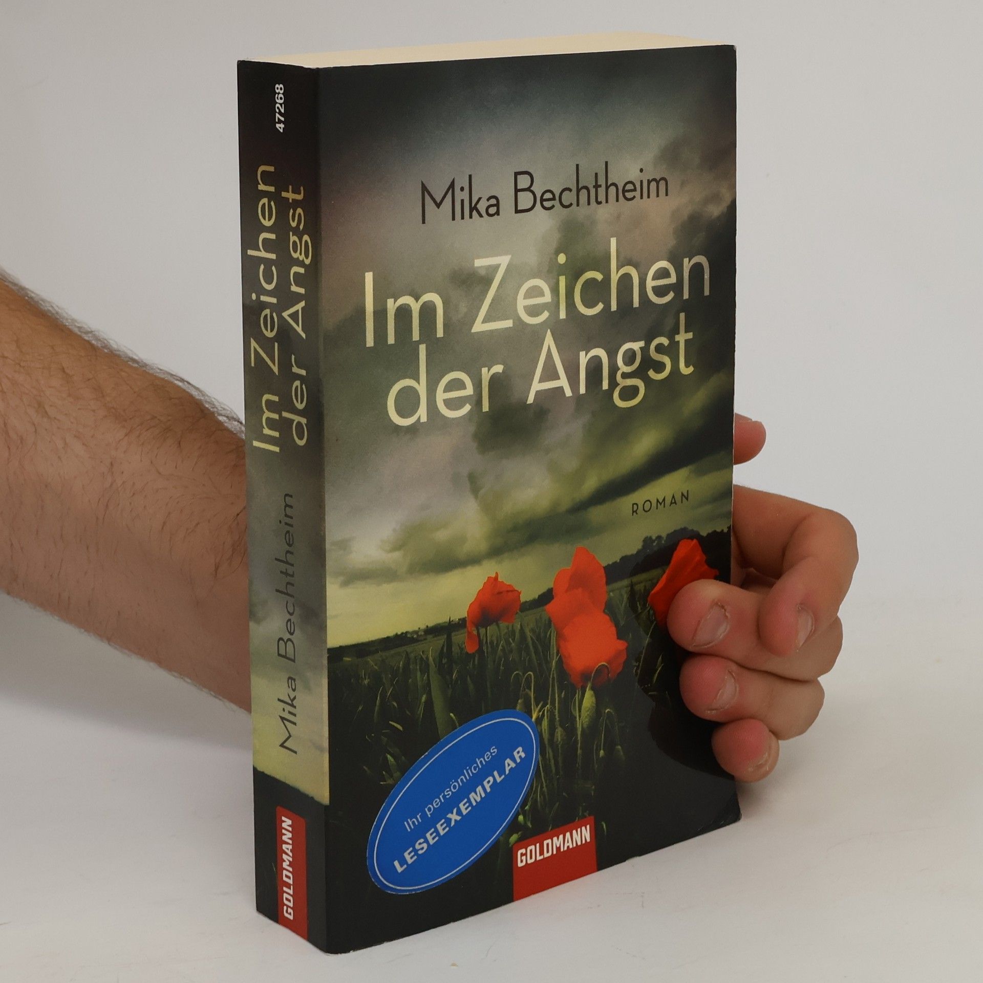 Mika Bechtheim Im Zeichen der Angst