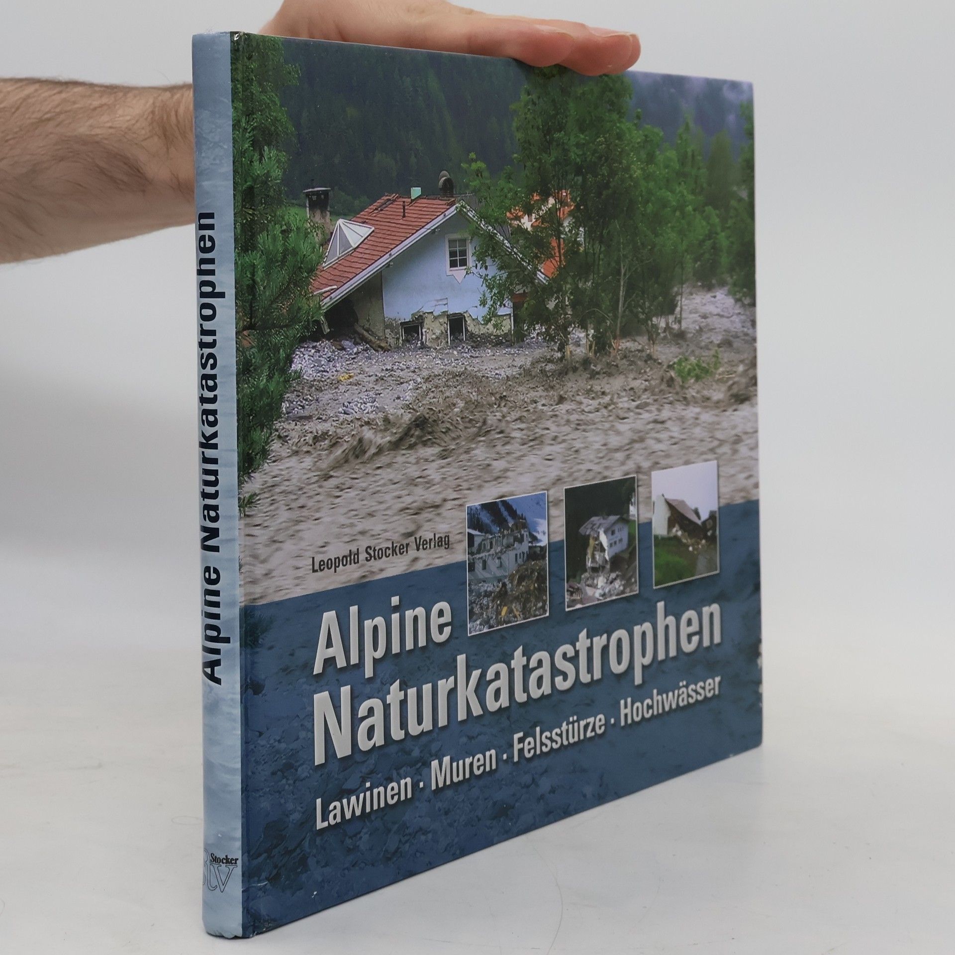 Florian Rudolf-Miklau Alpine Naturkatastrophen