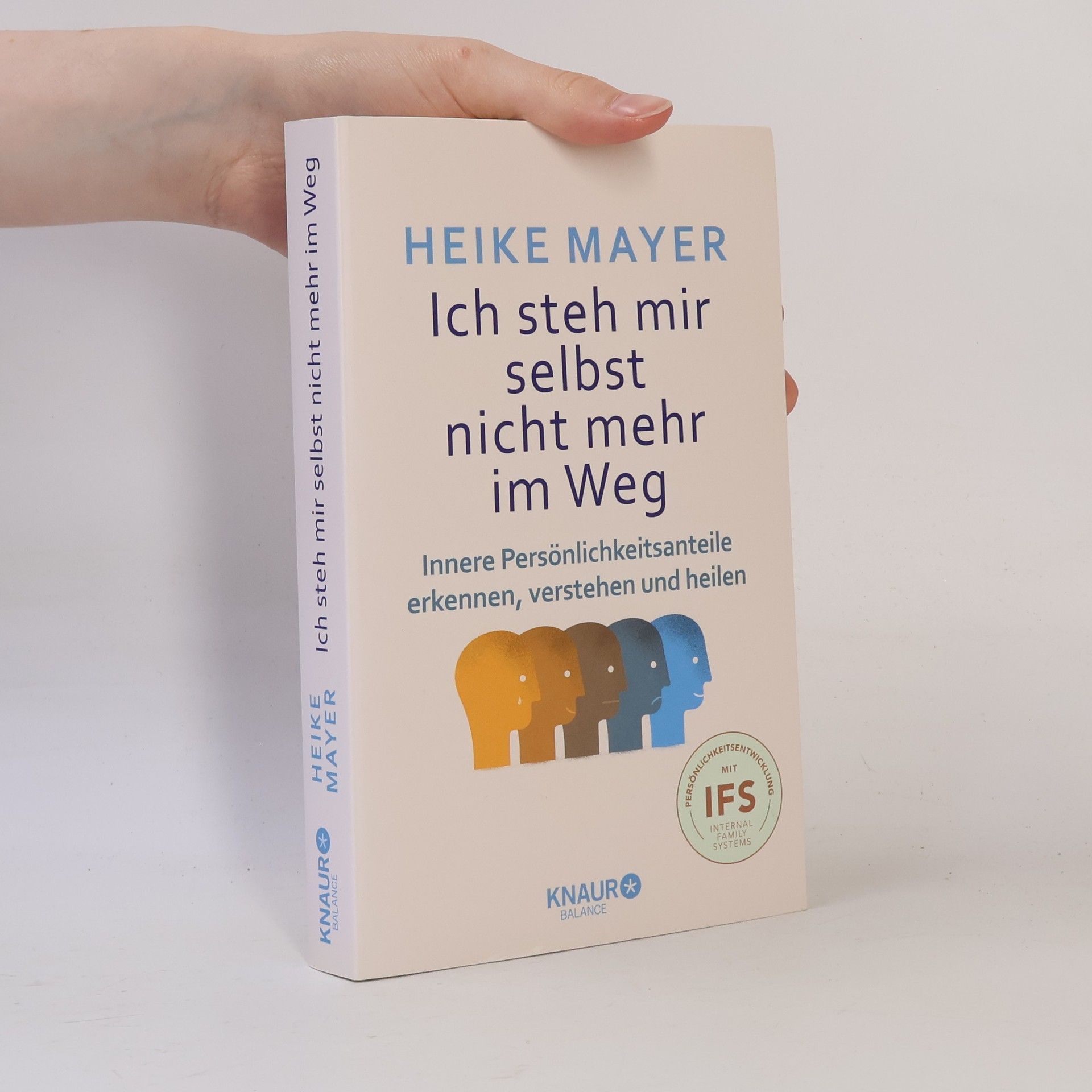 Heike Mayer Ich steh mir selbst nicht mehr im Weg