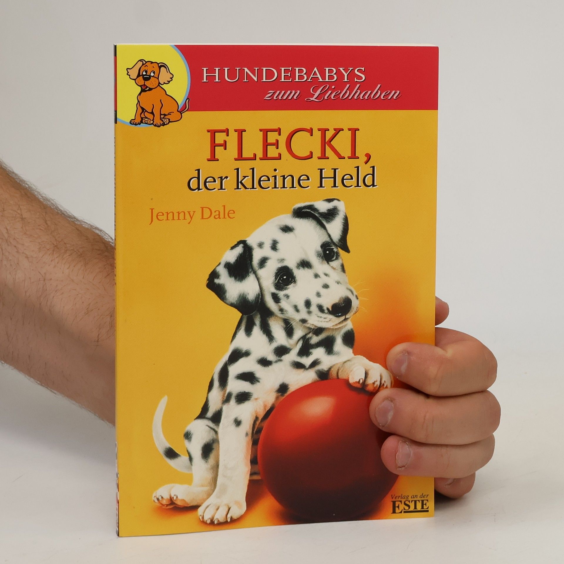 Linda Chapman Flecki, der kleine Held