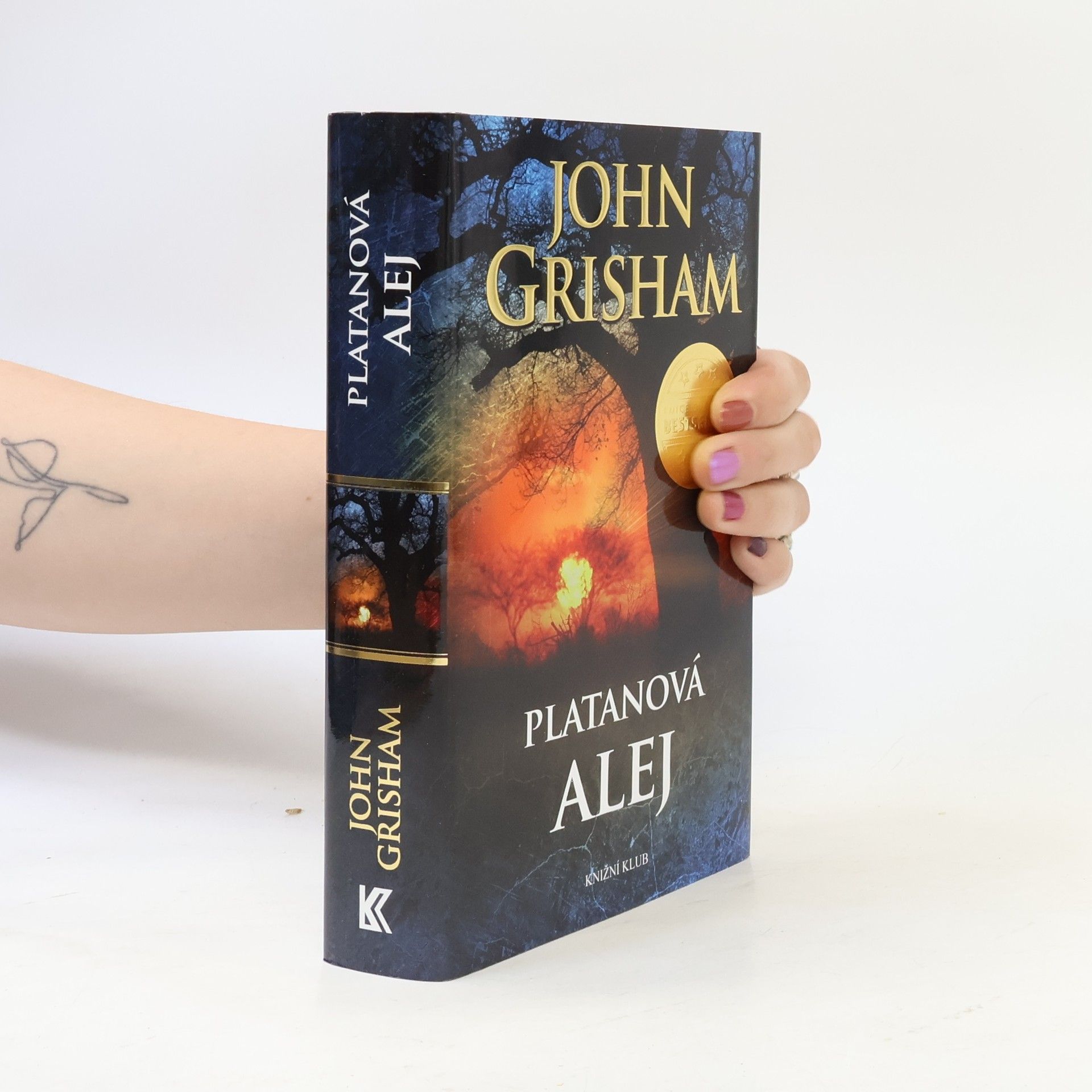 John Grisham Platanová alej