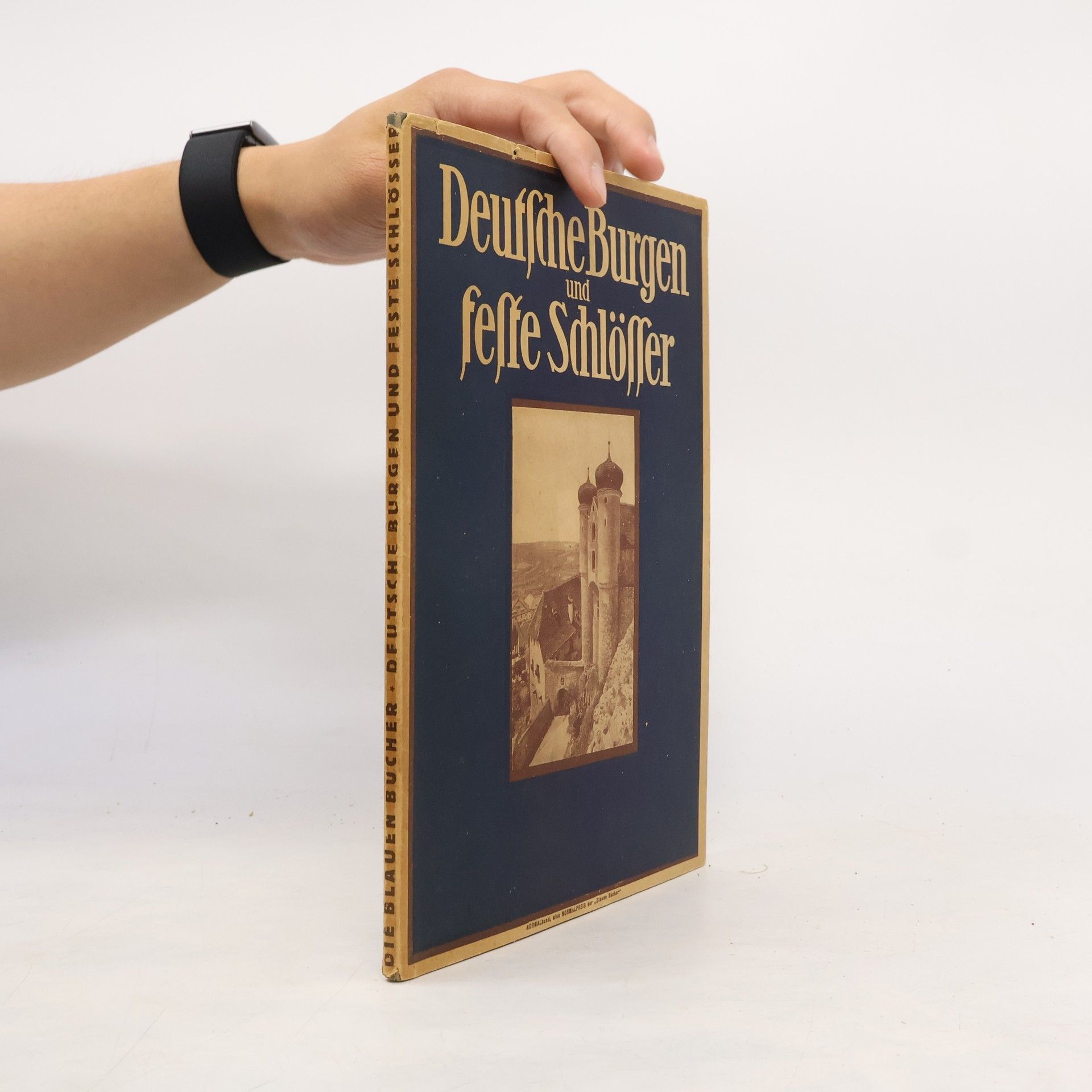 Autores varios Deutsche Burgen und Feste Schlösser