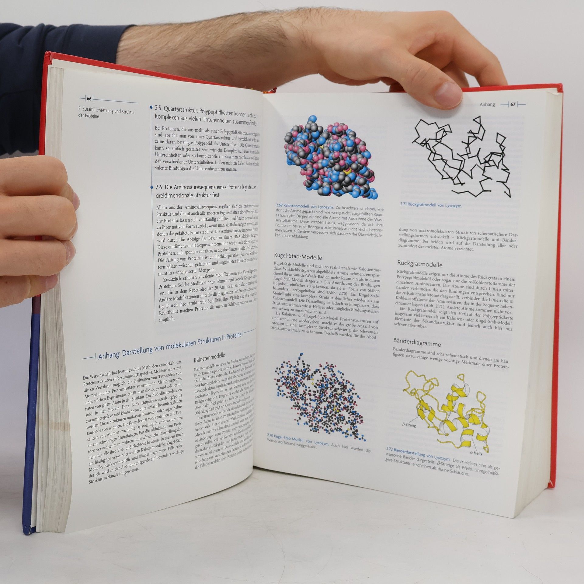 Jeremy M. (Jeremy Mark) Berg Biochemie