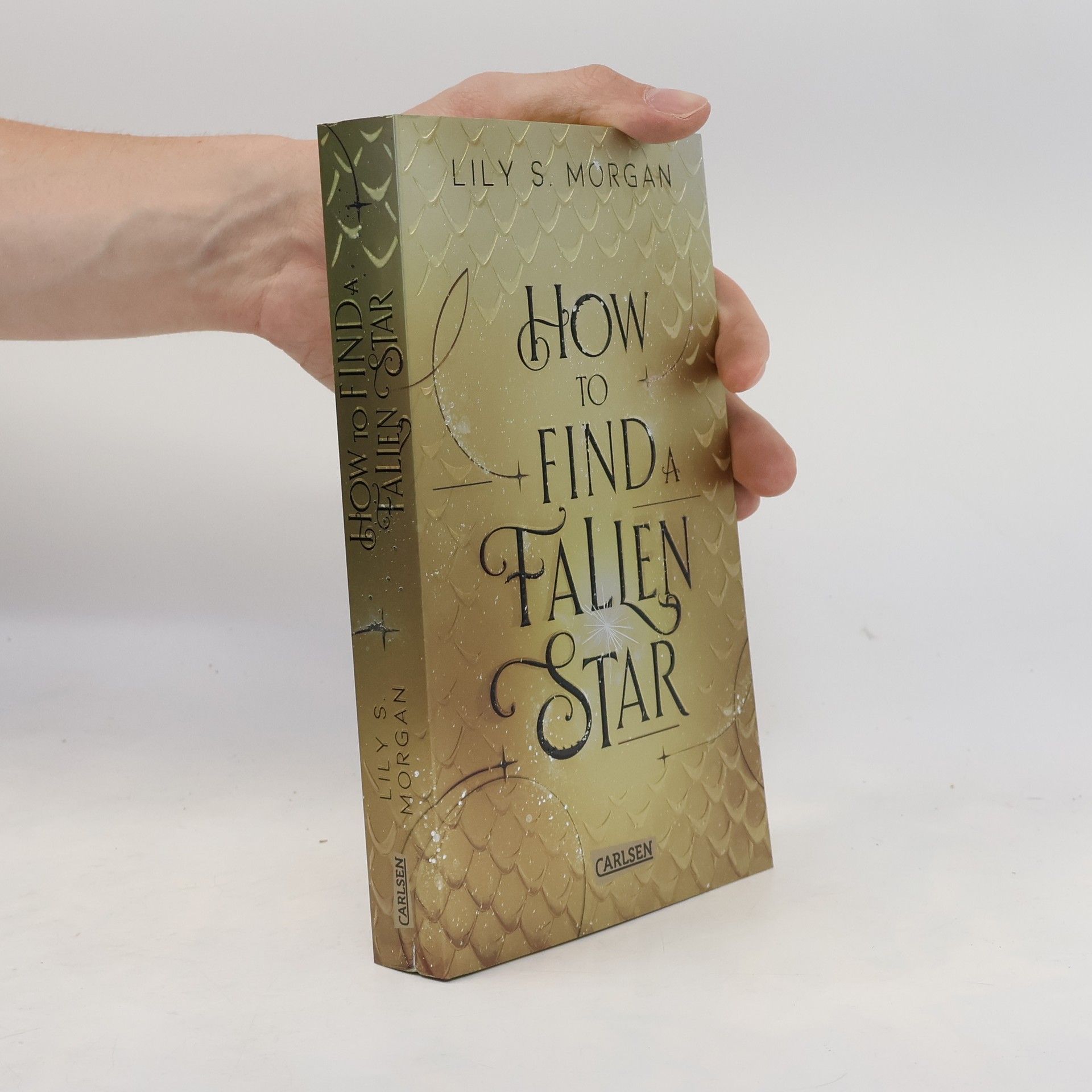 Lily S. Morgan How To Find A Fallen Star / New York Magics Bd.2