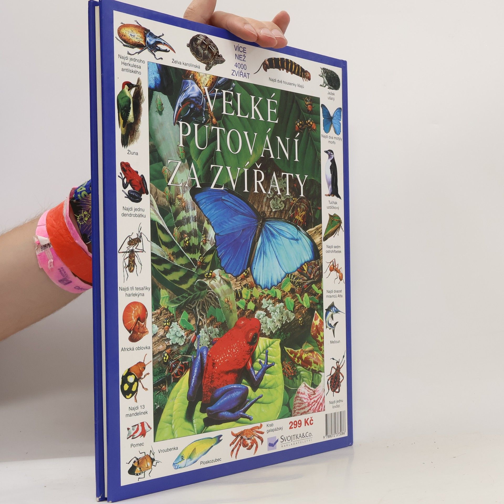 Caroline Young Velké putování za zvířaty