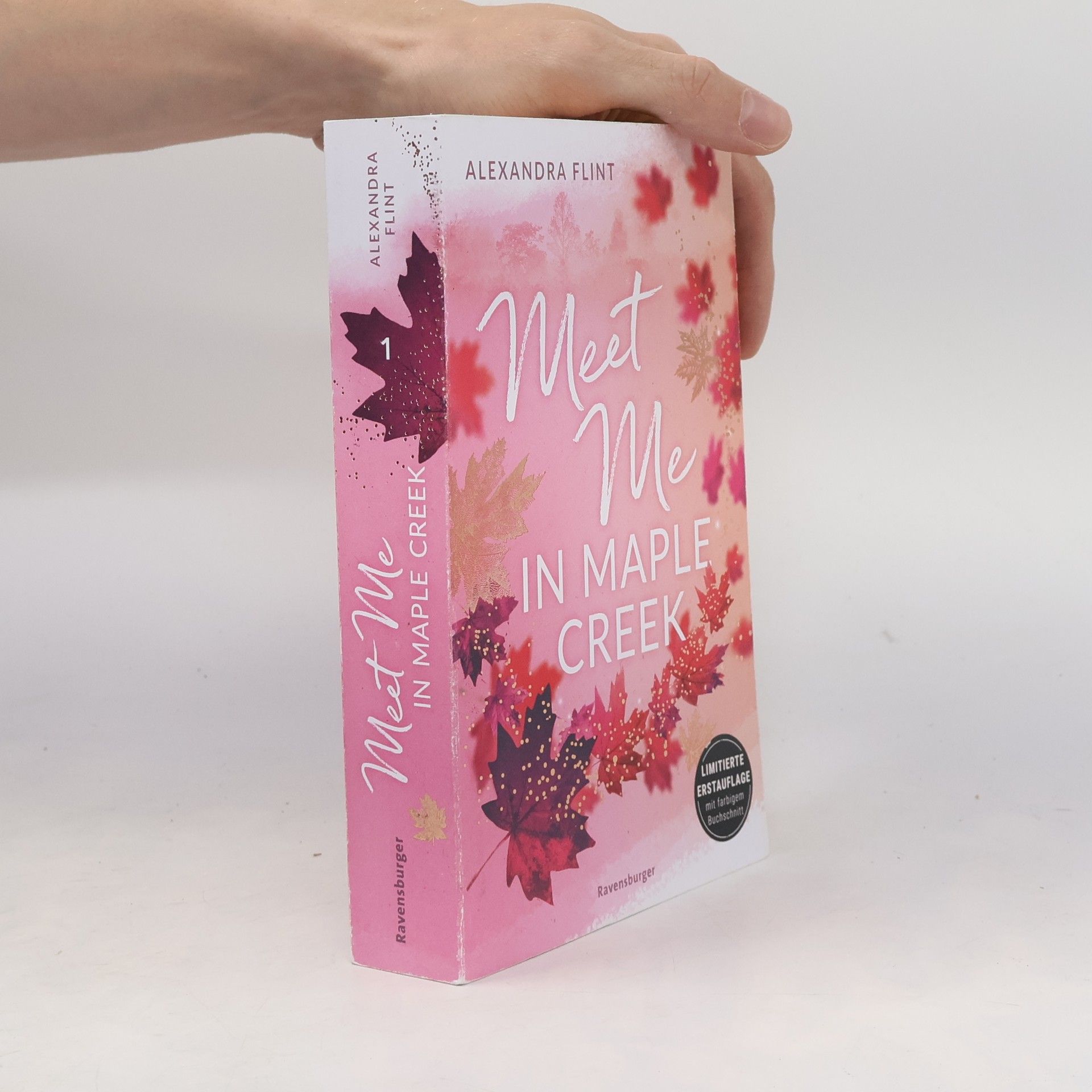 Alexandra Flint Meet me in Maple Creek