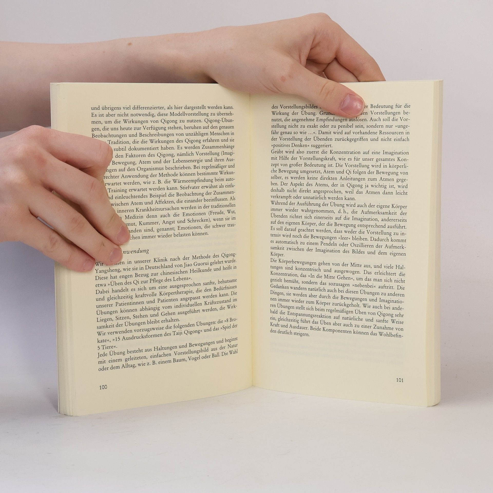 Luise Reddemann Imagination als heilsame Kraft