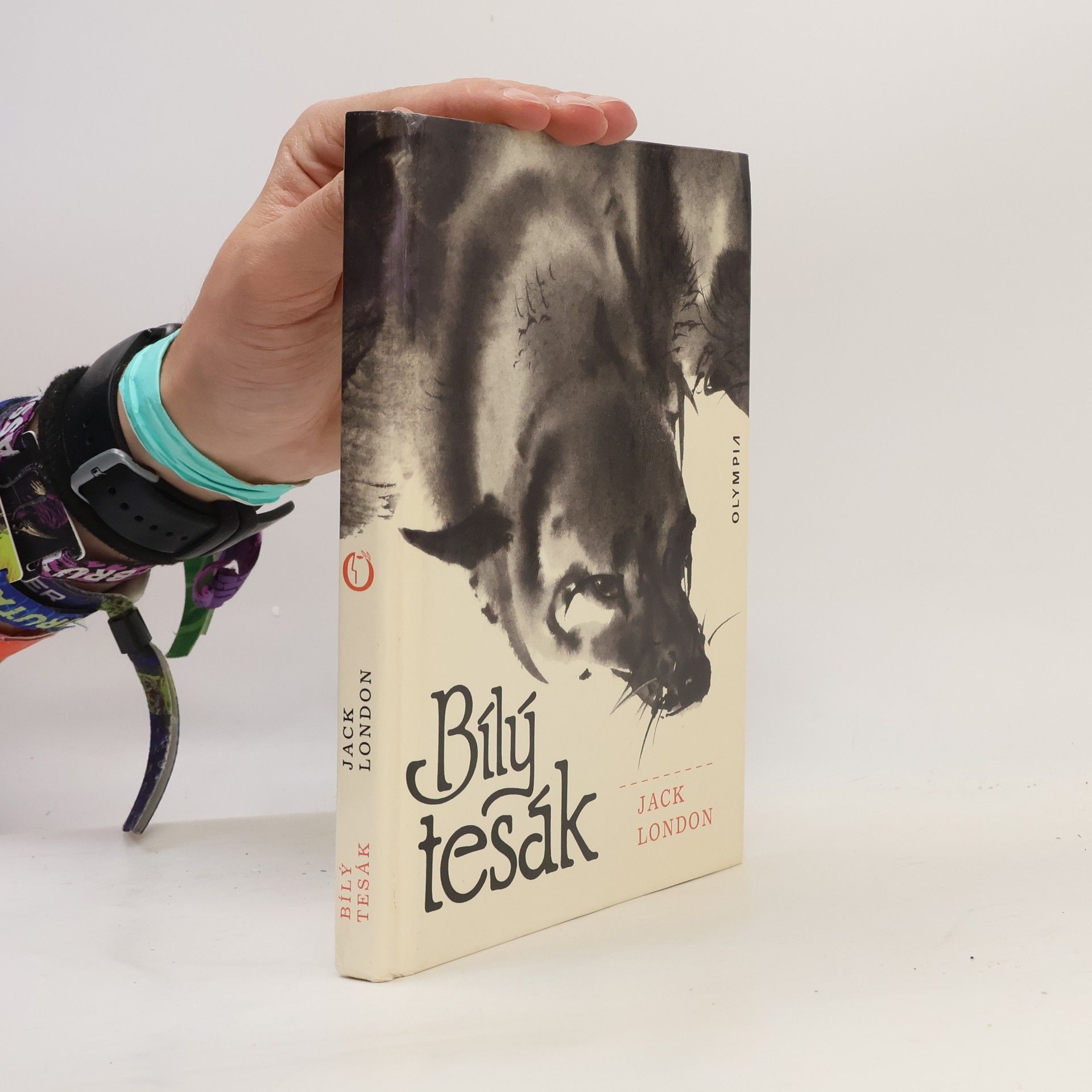 Bílý tesák