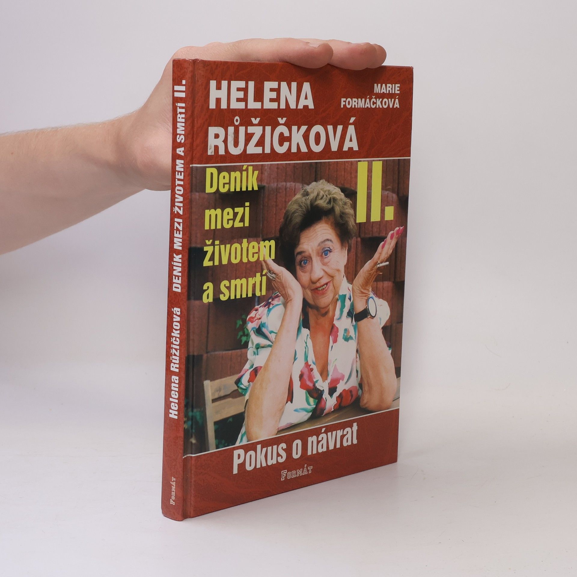 Helena Růžičková Deník mezi životem a smrtí. II., Pokus o návrat