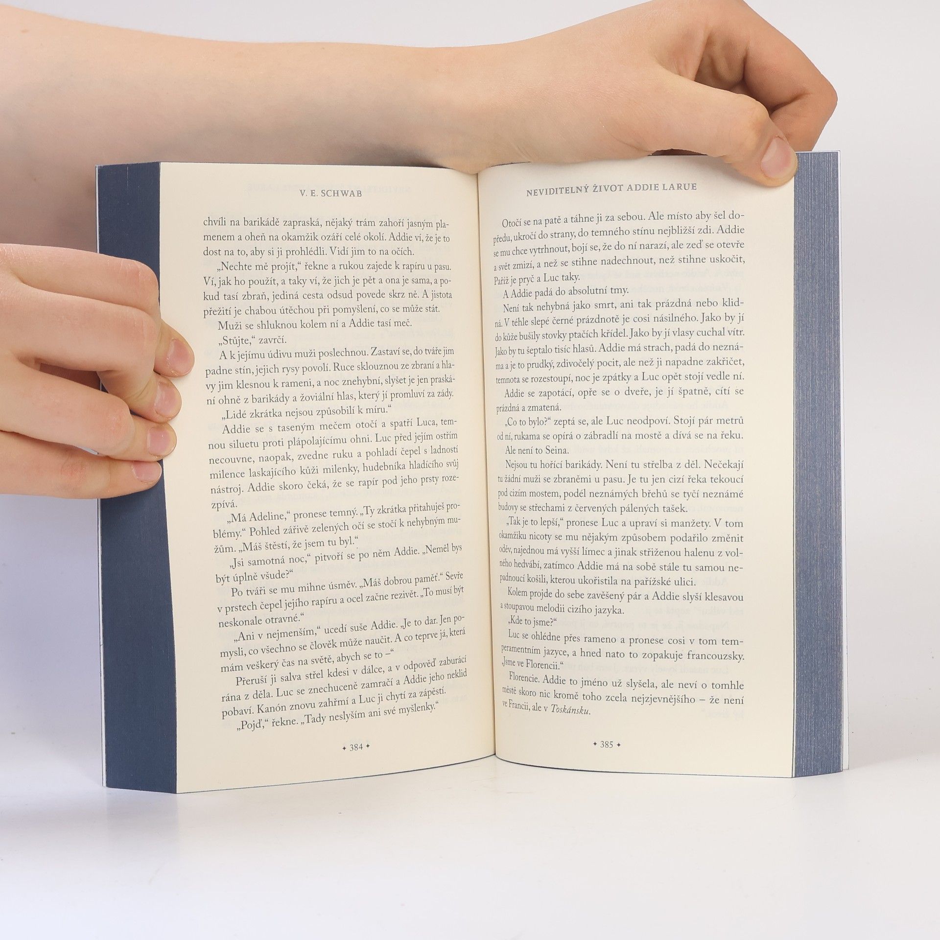 V. E. Schwab Neviditelný život Addie LaRue