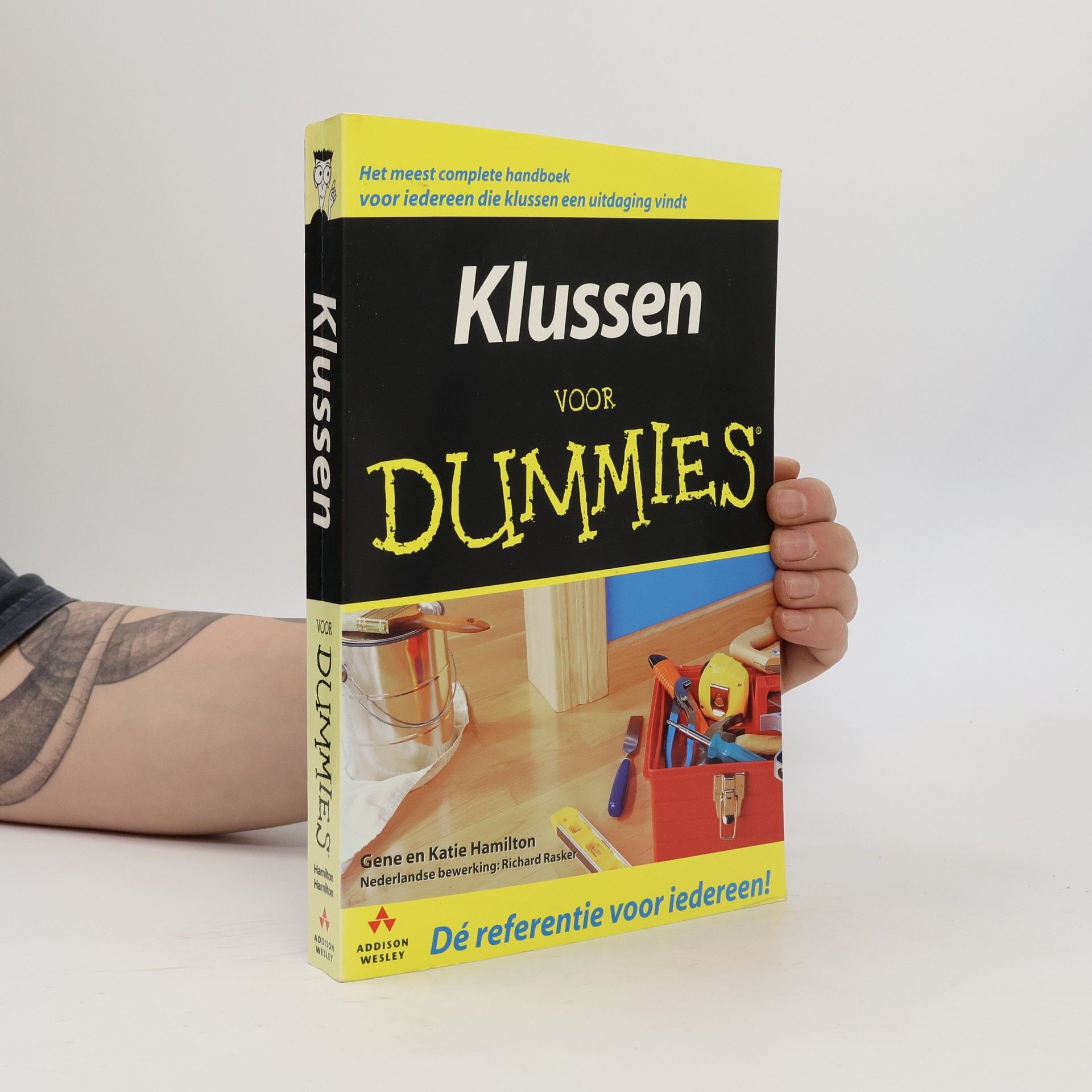 Richard Rasker Klussen voor Dummies