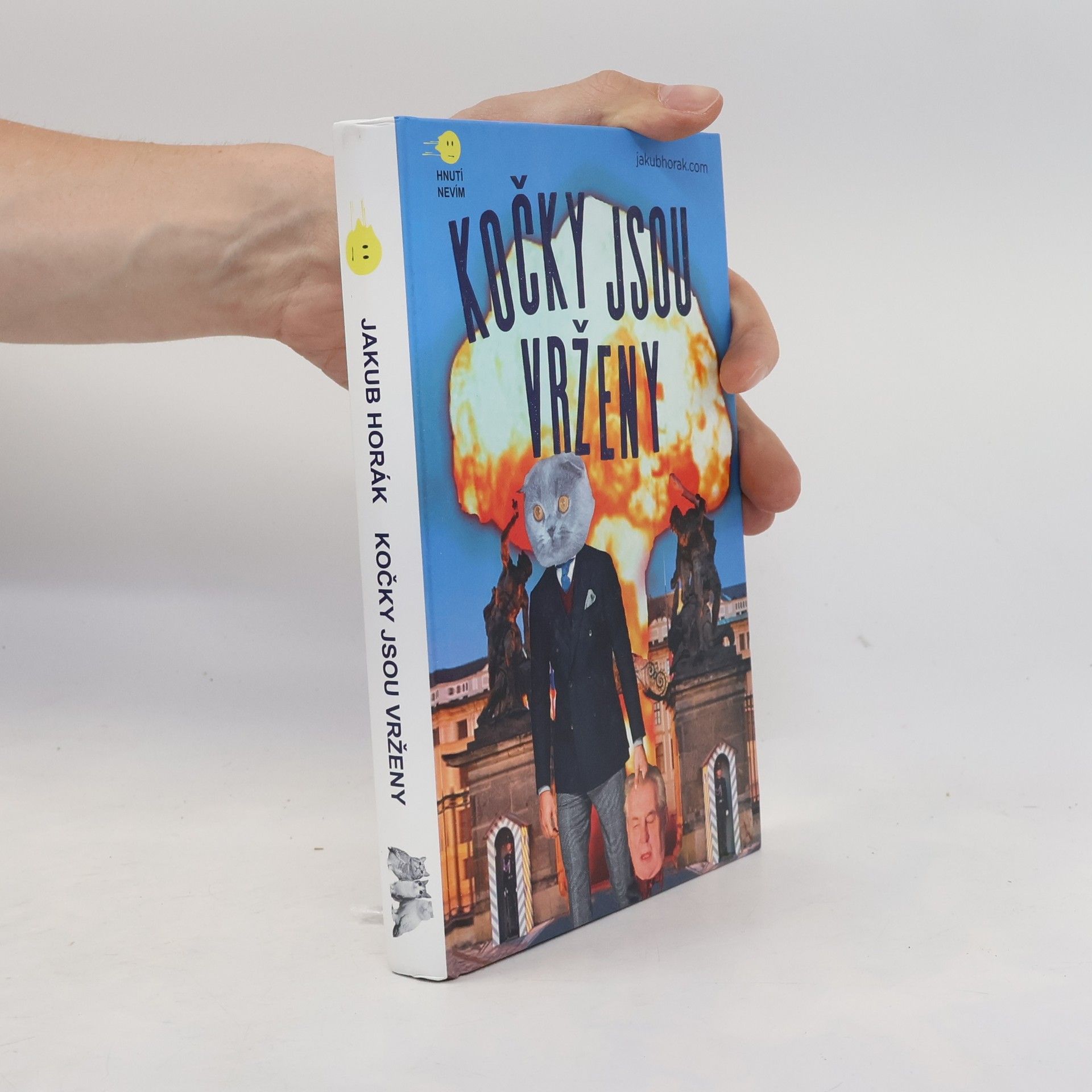 Jakub Horák Kočky jsou vrženy: Fantastický román