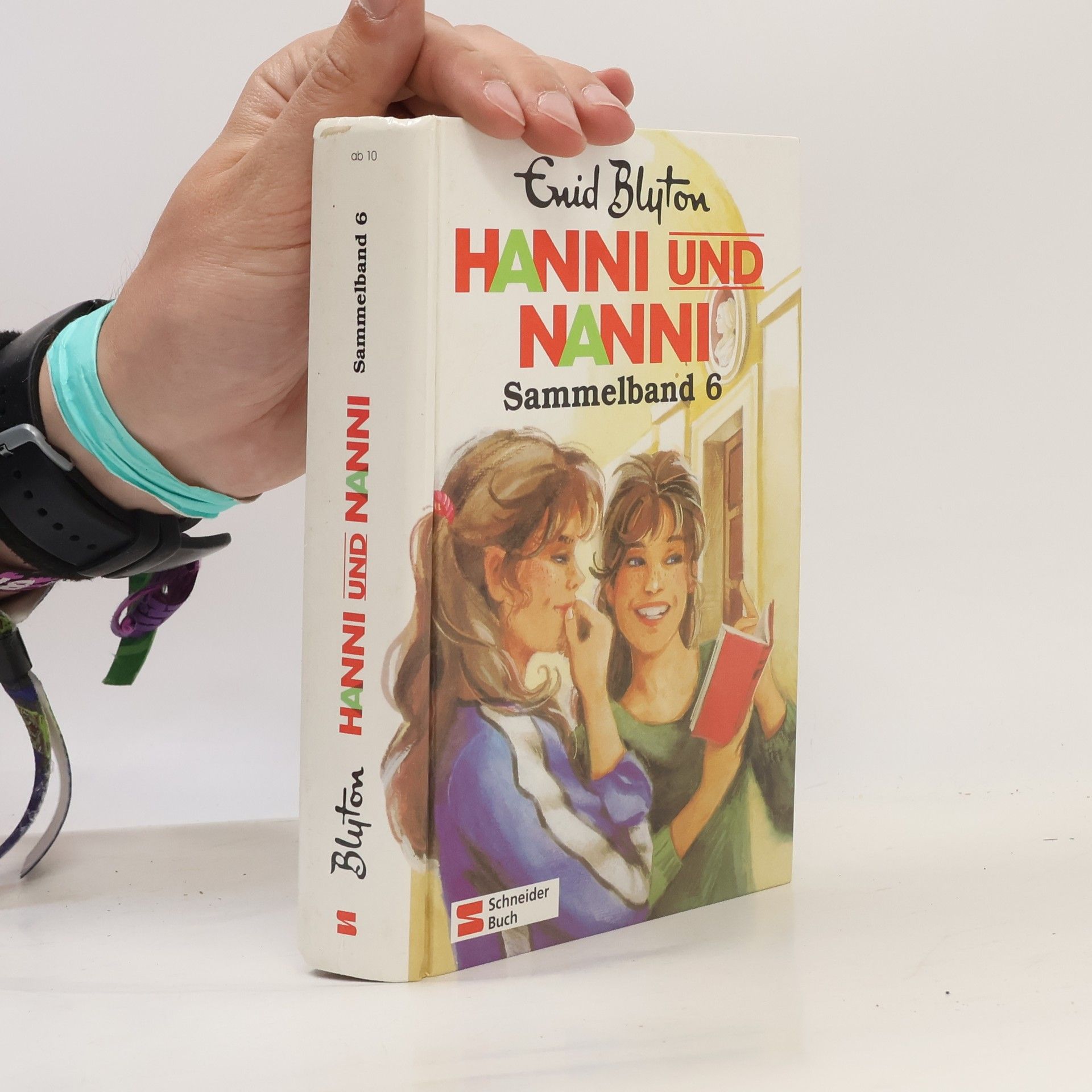 Enid Blyton Hanni und Nanni. Sammelband 6