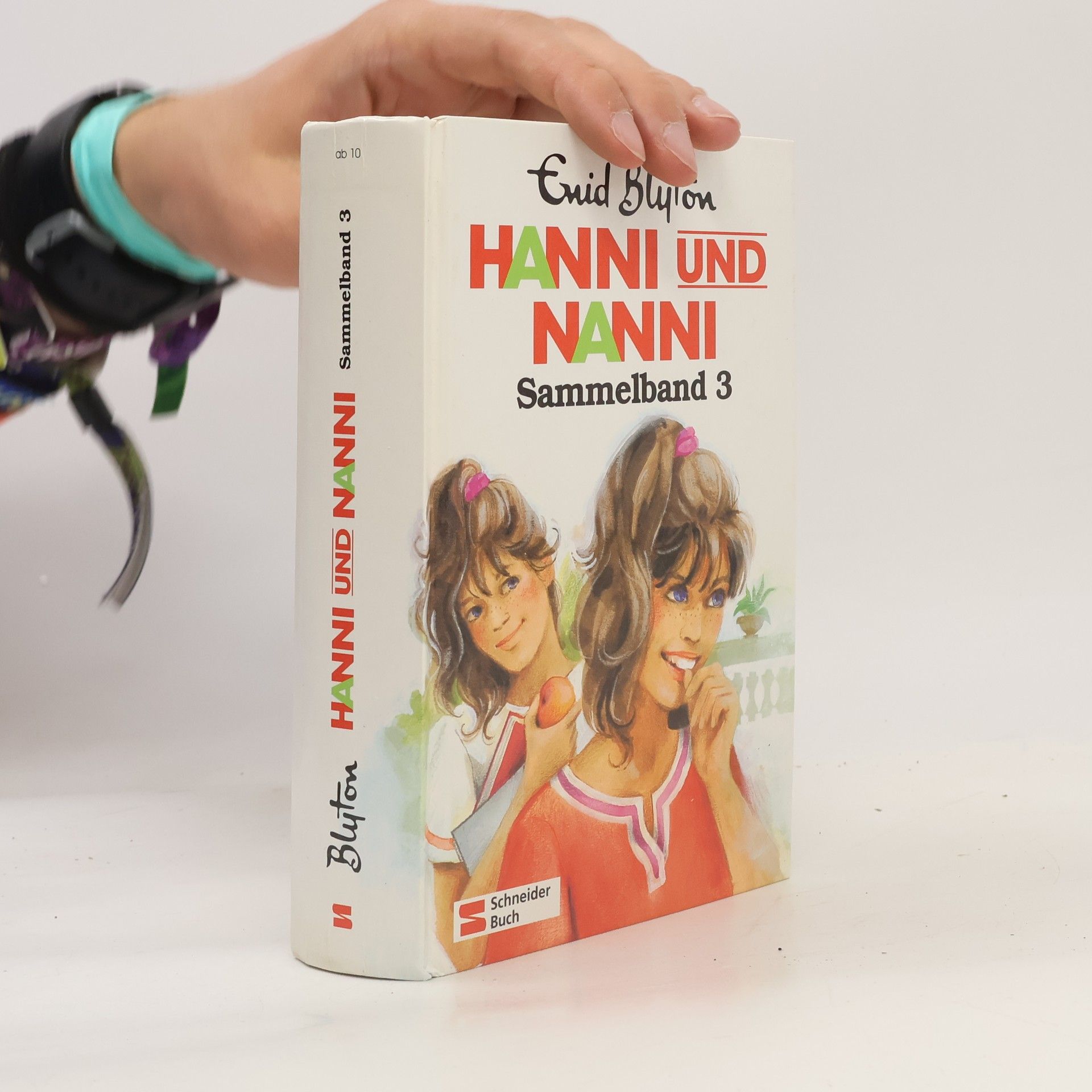 Enid Blyton Hanni und Nanni. Sammelband 3
