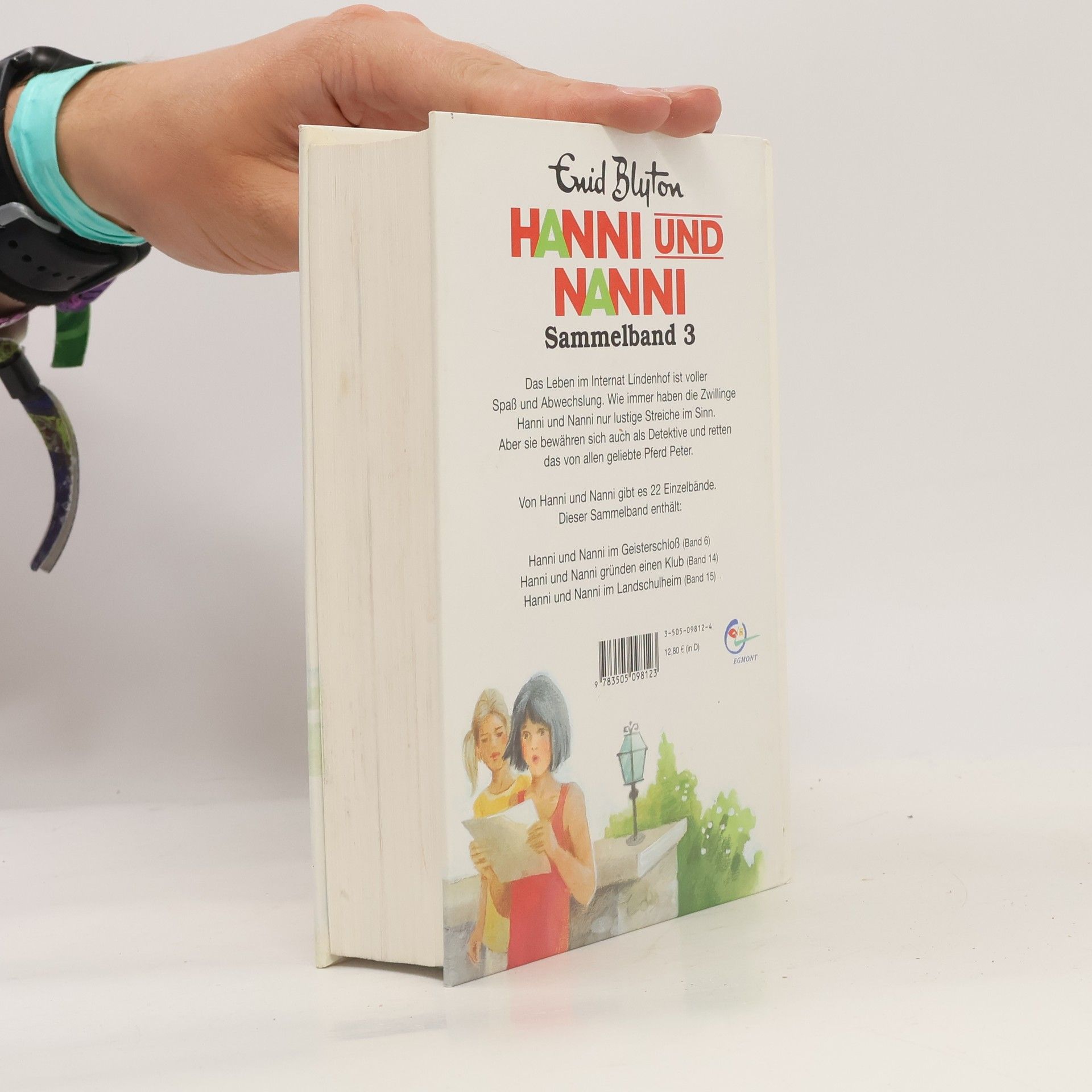 Enid Blyton Hanni und Nanni. Sammelband 3