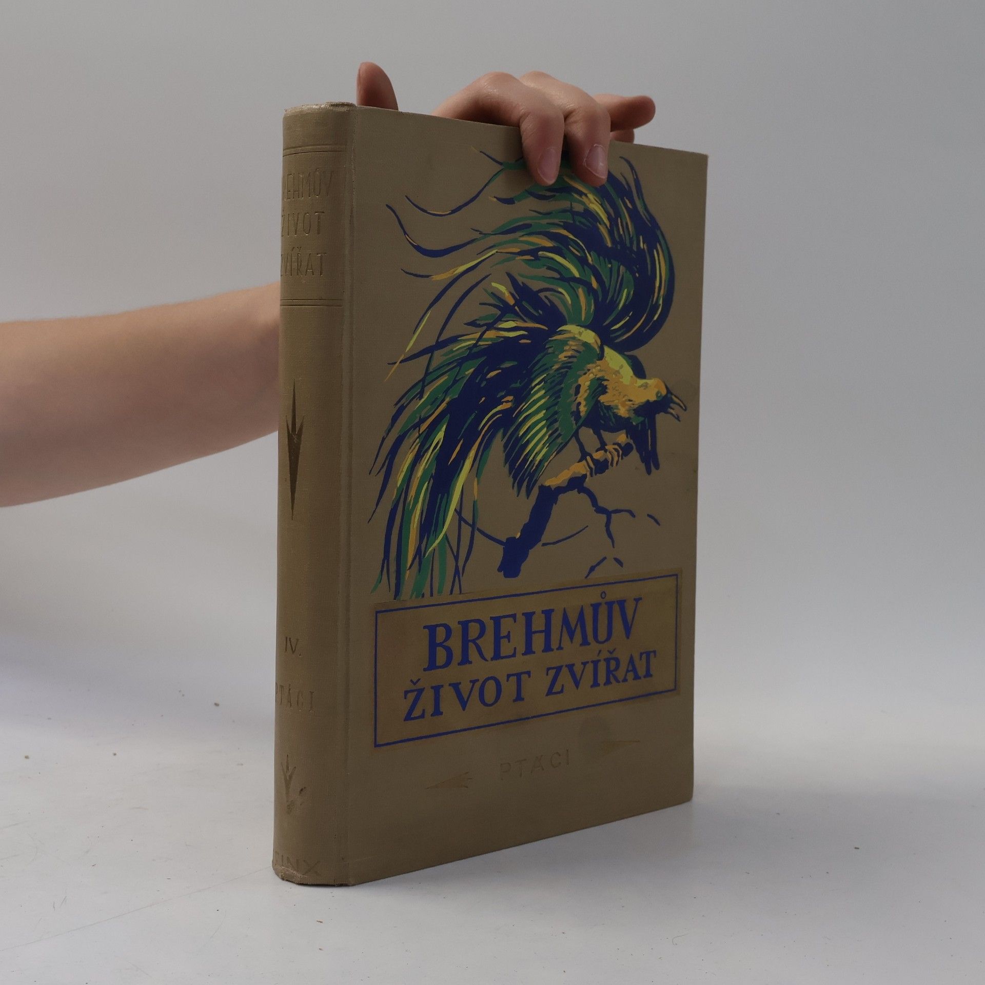Alfred Edmund Brehm Brehmův ilustrovaný život zvířat. Díl IV. - Ptáci