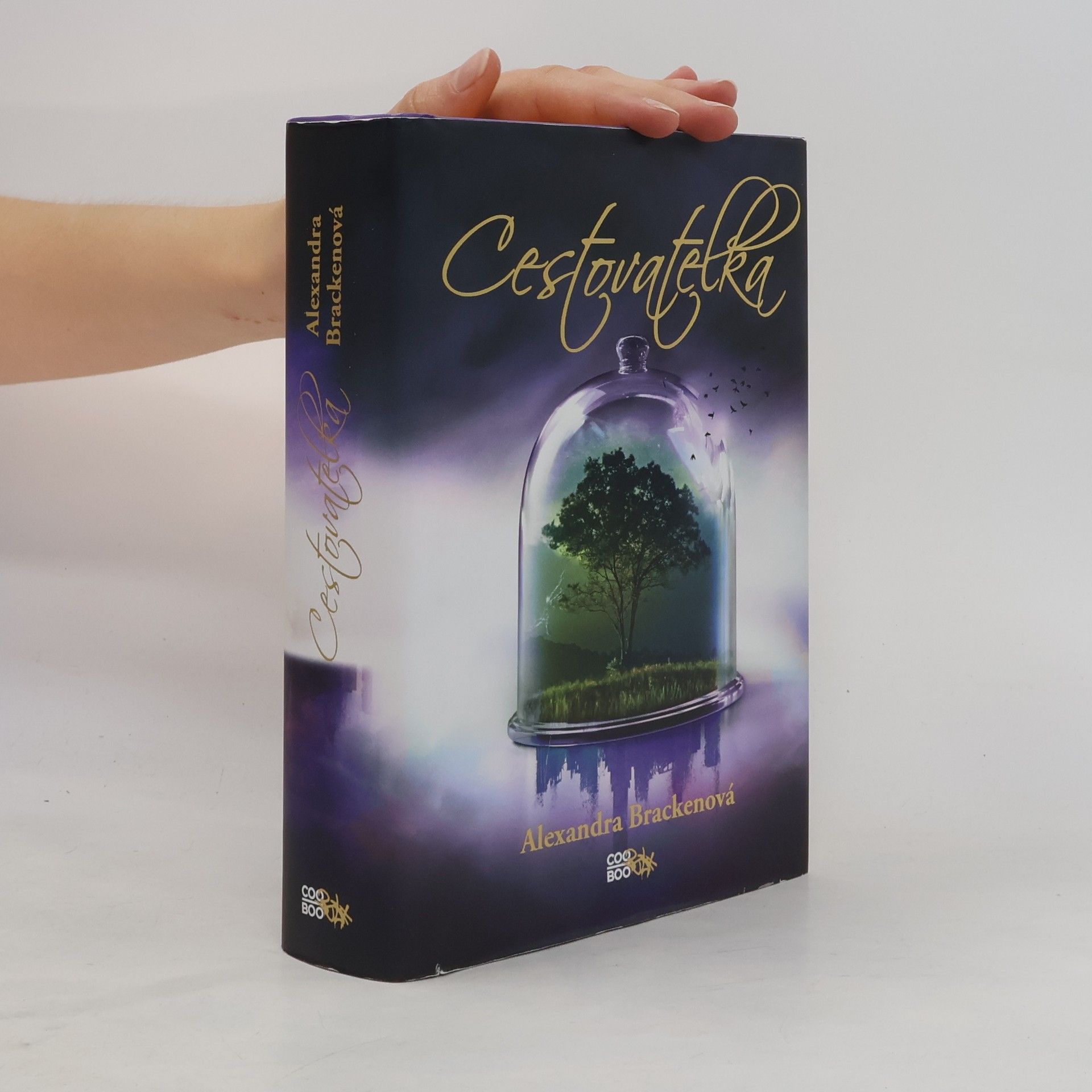 Alexandra Bracken Cestovatelka
